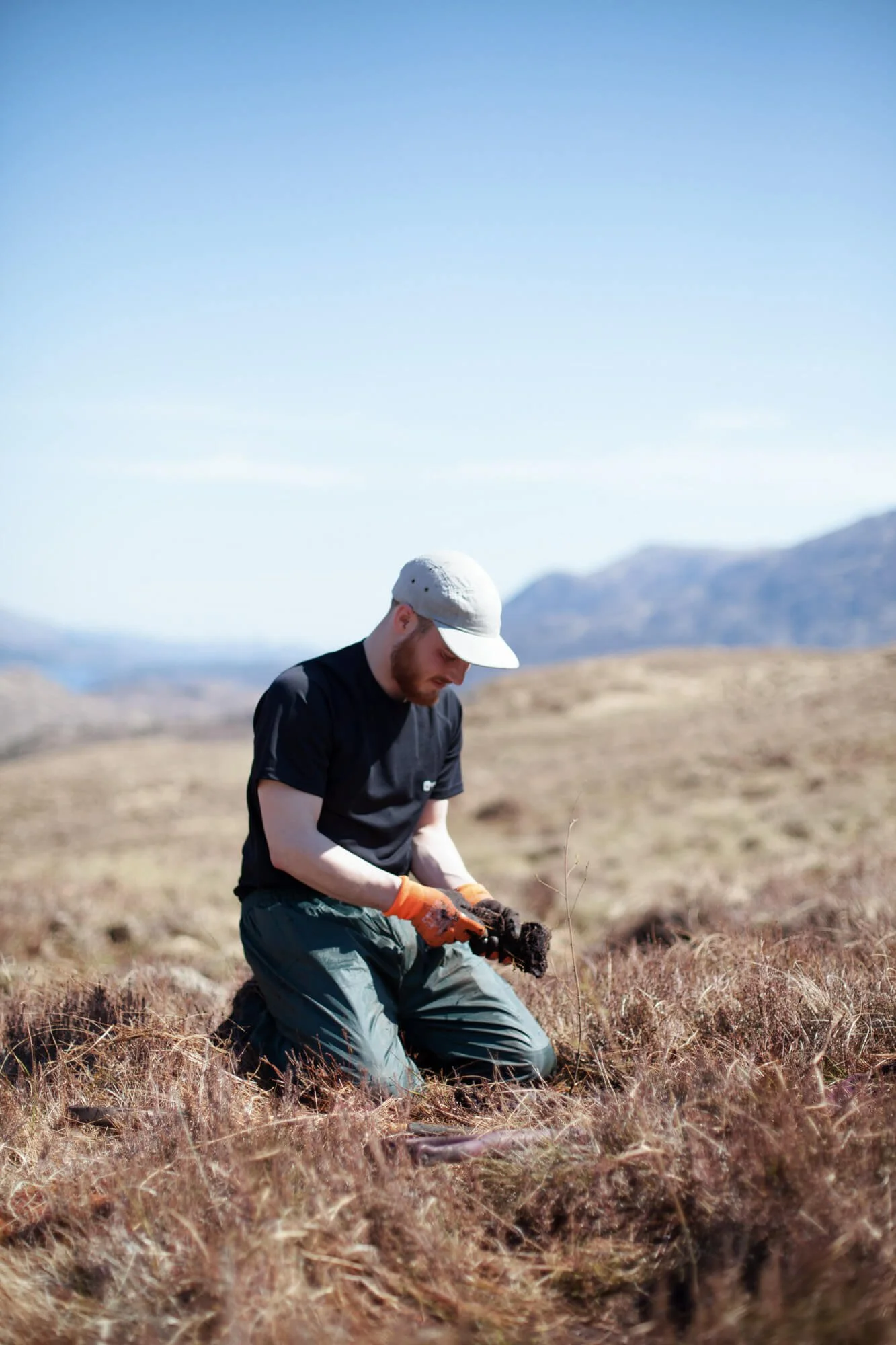 Person kneeling outdoors reforesting trees soil in a grassy field with mountains in the background.