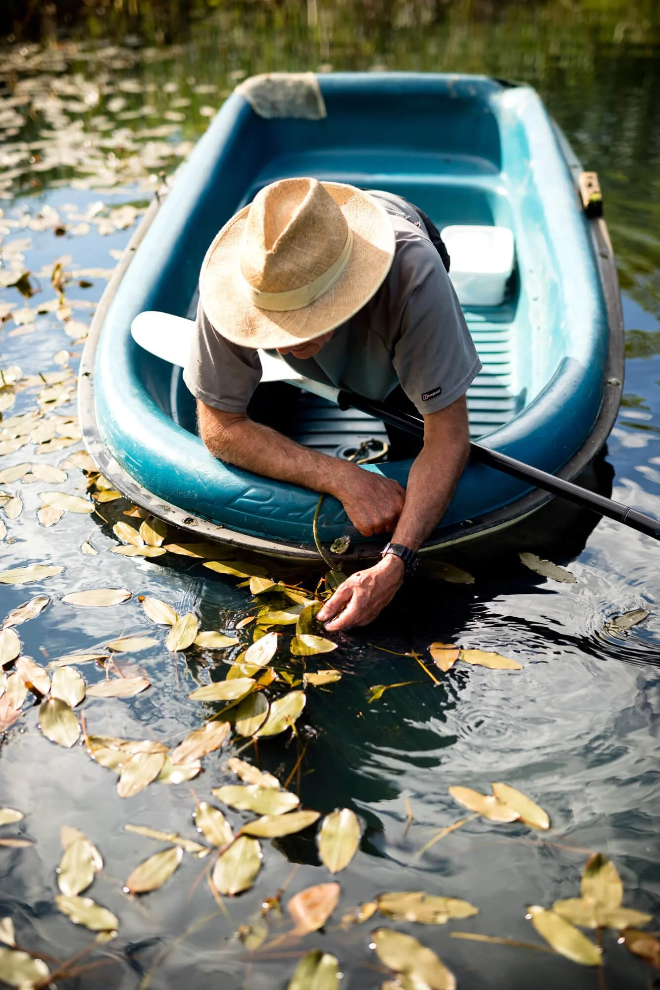 Man in a boat touching water lilies on a lake, wearing a straw hat and gray shirt.
