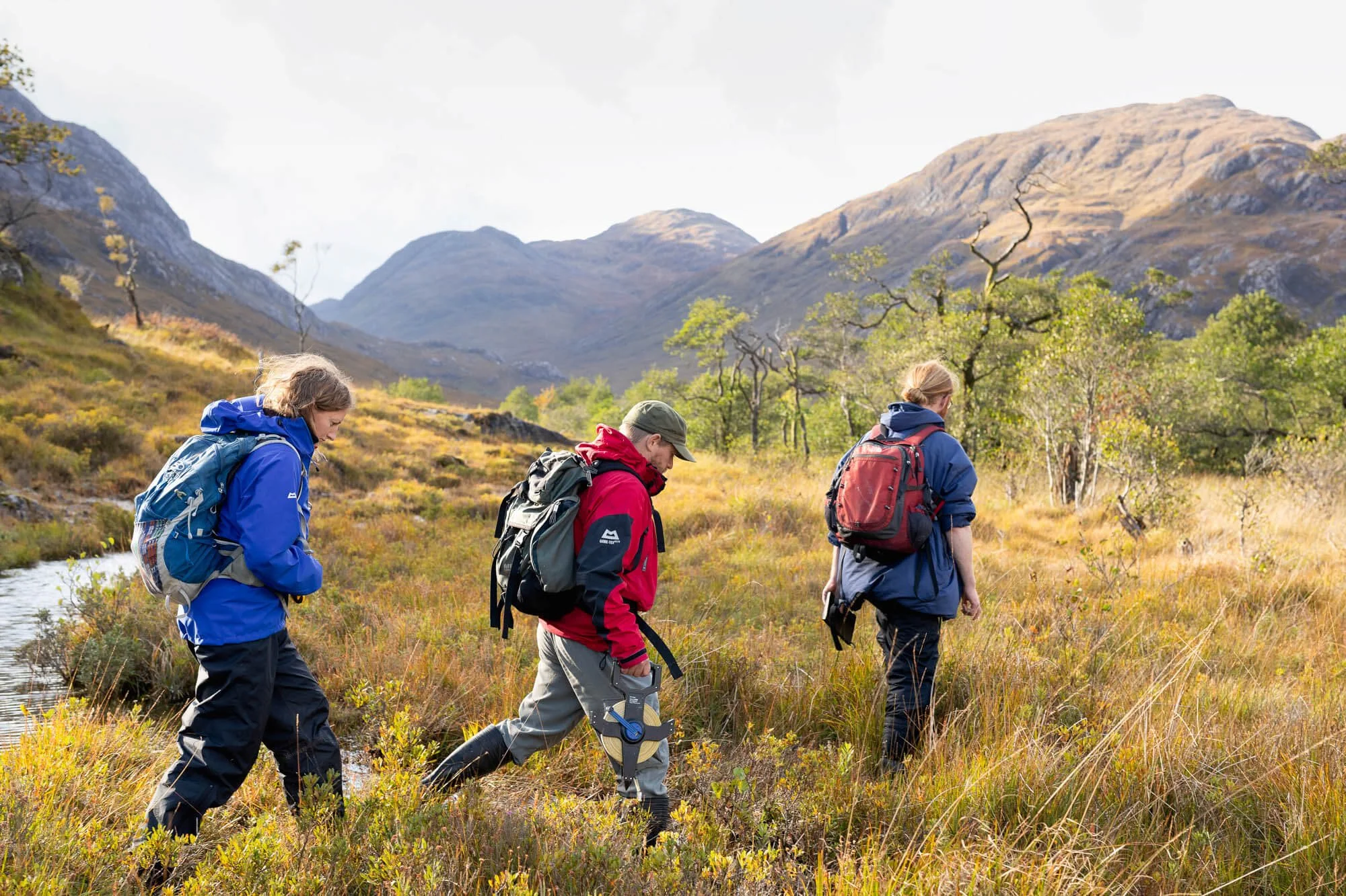 Three hikers with backpacks walking through a grassy landscape with mountains in the background.