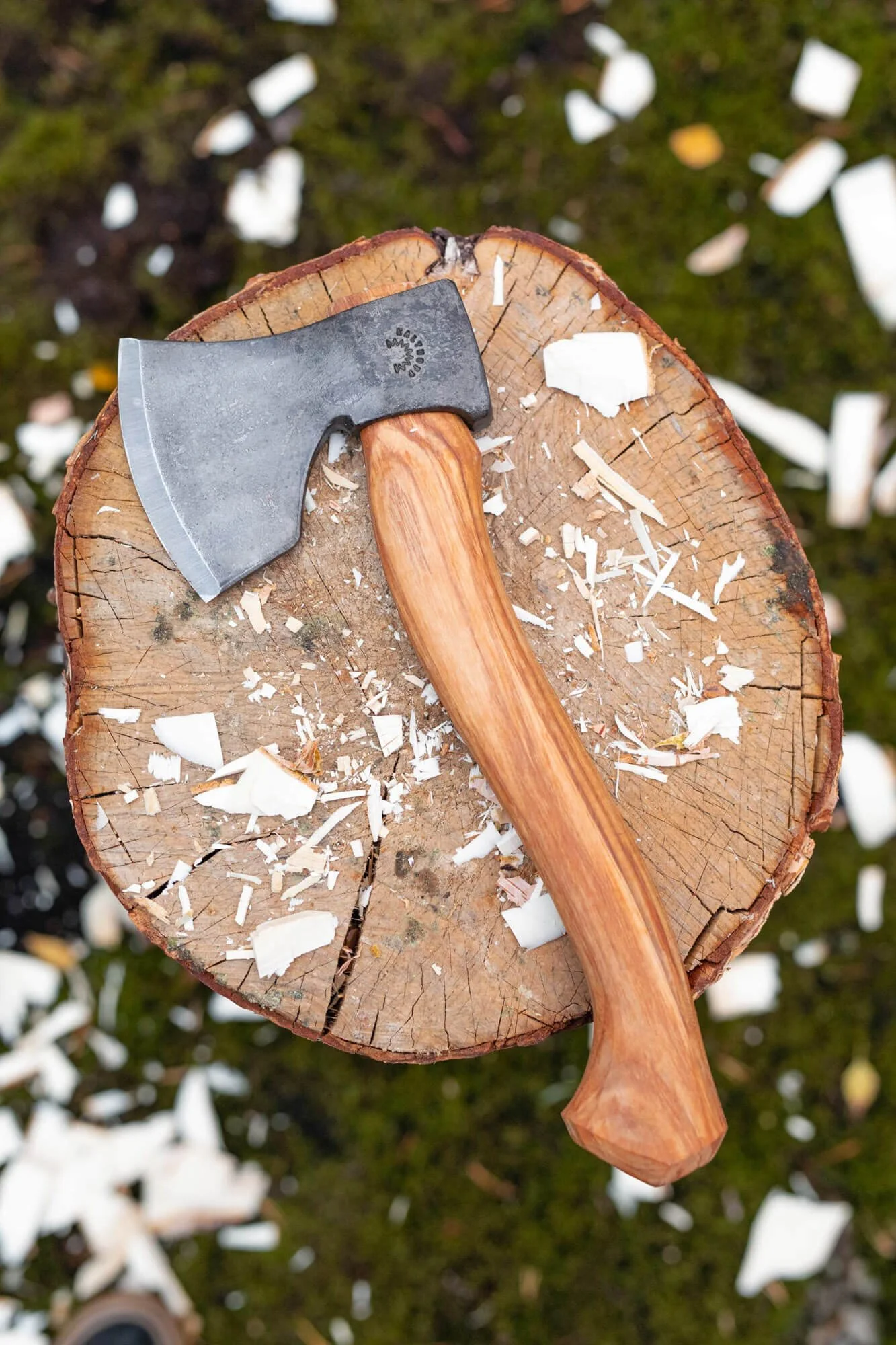 A hatchet with a wooden handle lying on a tree stump with wood shavings around it.