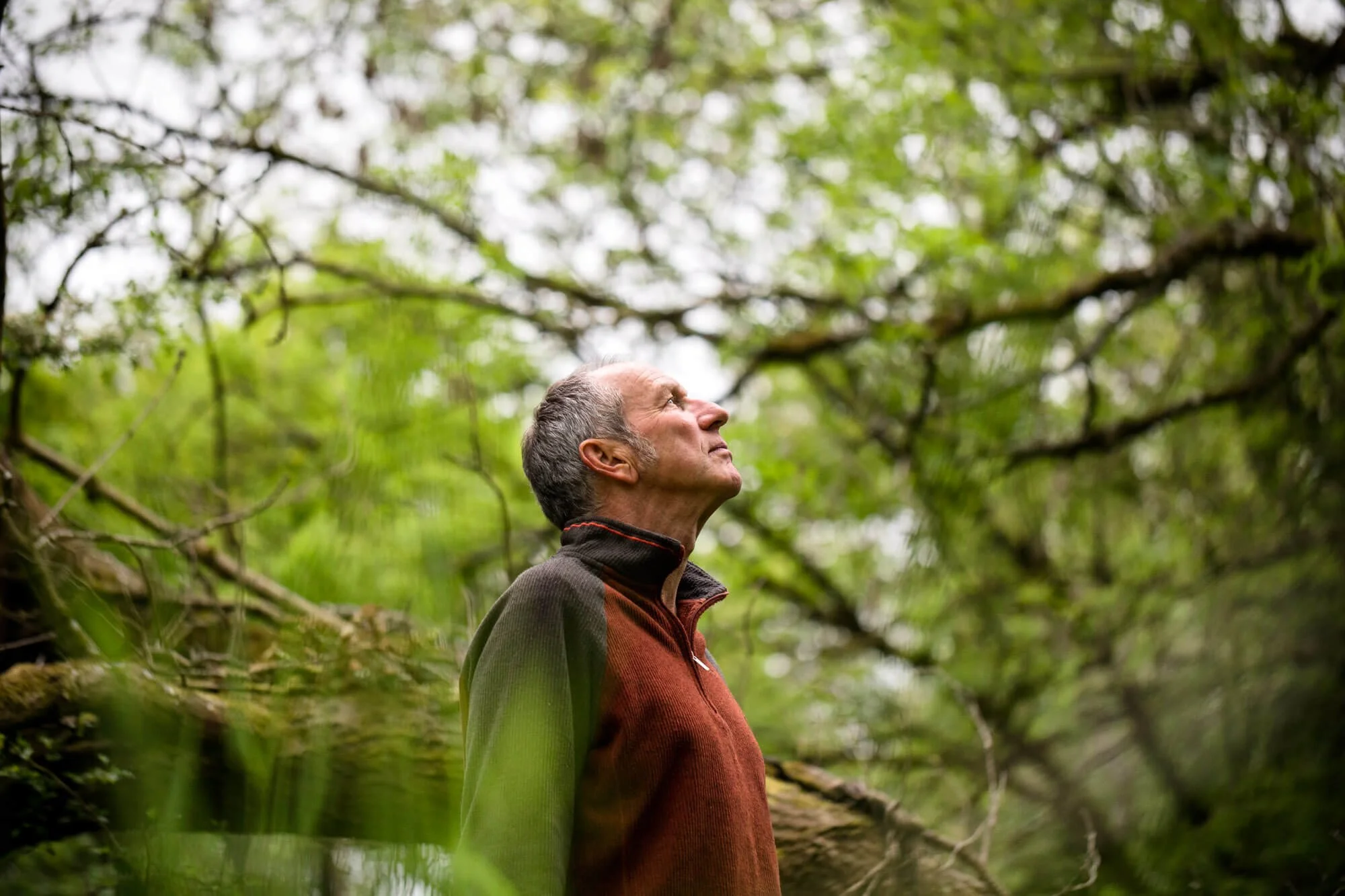 Man looking up in a forest with green trees and branches above.
