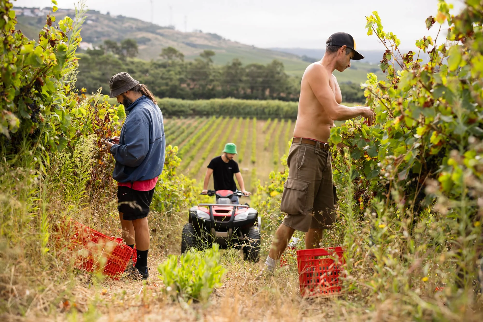 Genúria Natural Wines - Photography by Jody Daunton--13.jpg