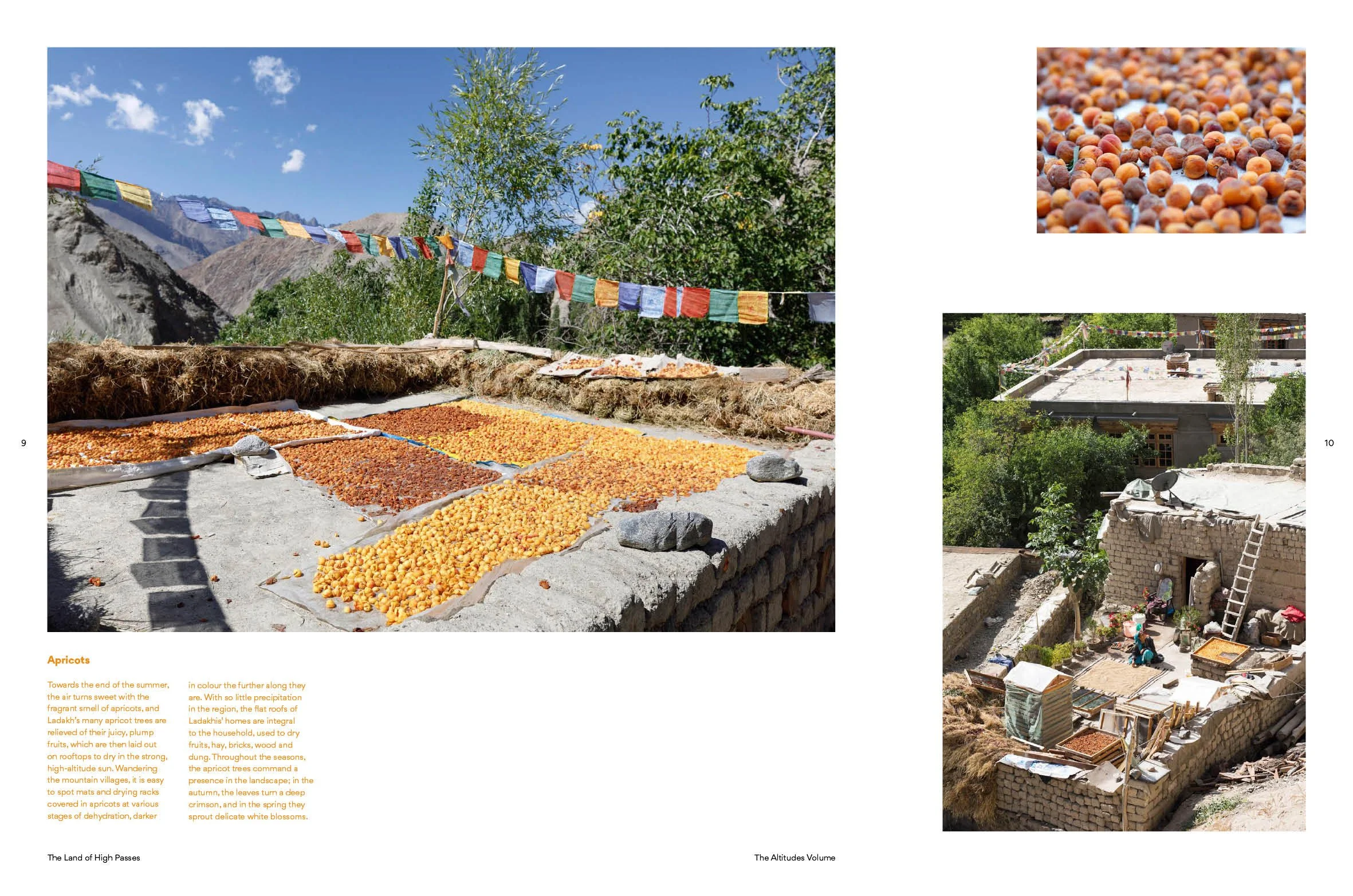 Ladakh Travel Spreads5.jpg