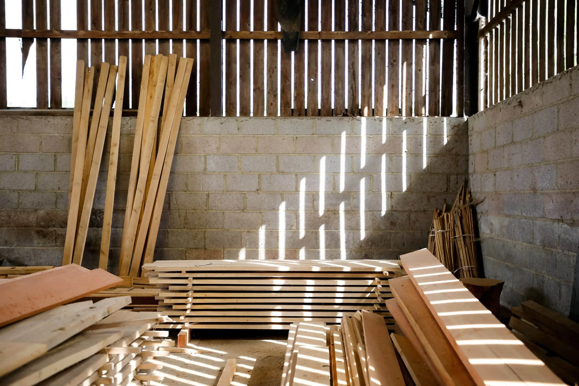 James Otter - Wooden Surf Board Maker - Image by Jody Daunton-10.jpg