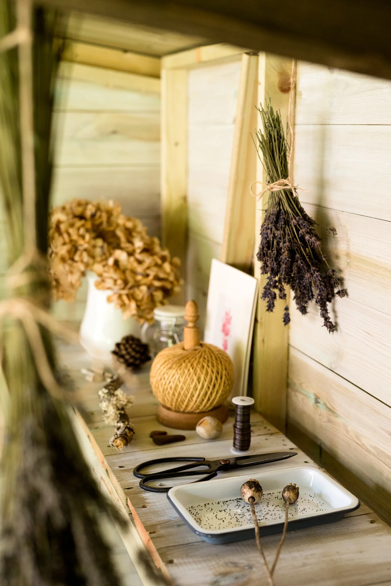 Wood and Meadow - Sui Searle - Photography by Jody Daunton - Jpeg - 150DPI Web Ready)-17.jpg