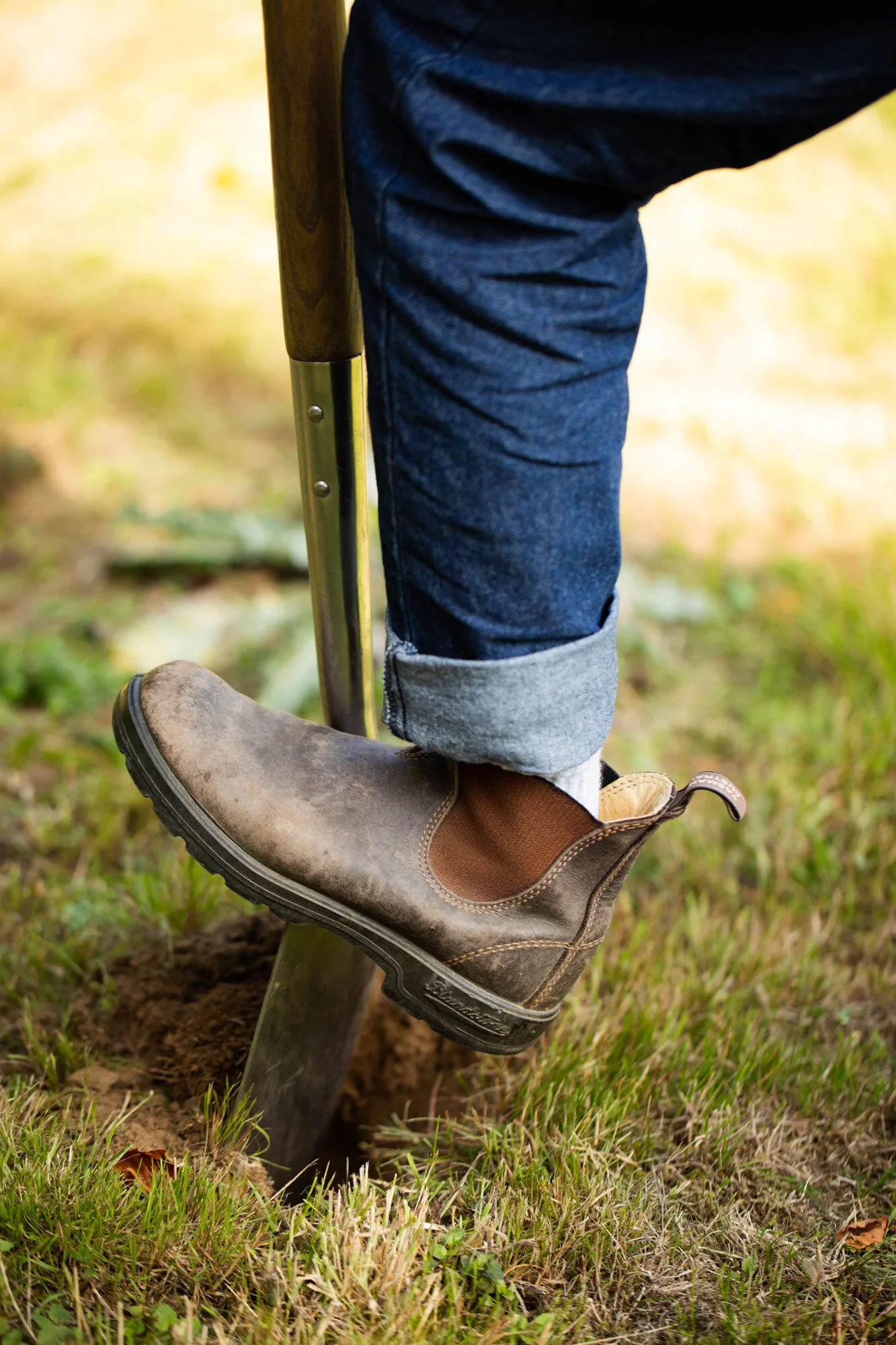 Wood and Meadow - Sui Searle - Photography by Jody Daunton - Jpeg - 150DPI Web Ready)-51.jpg