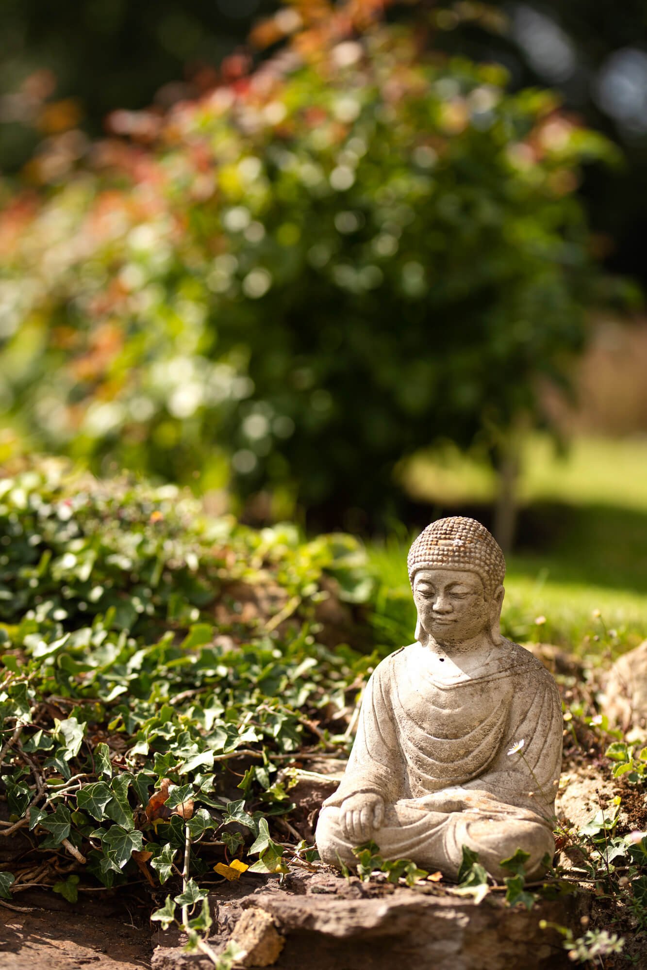 Sui Searle - Lifestyle Gardening Photography - Image by Jody Daunton-35.jpg