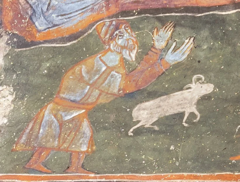 ლაშთხვრი 23556.jpg