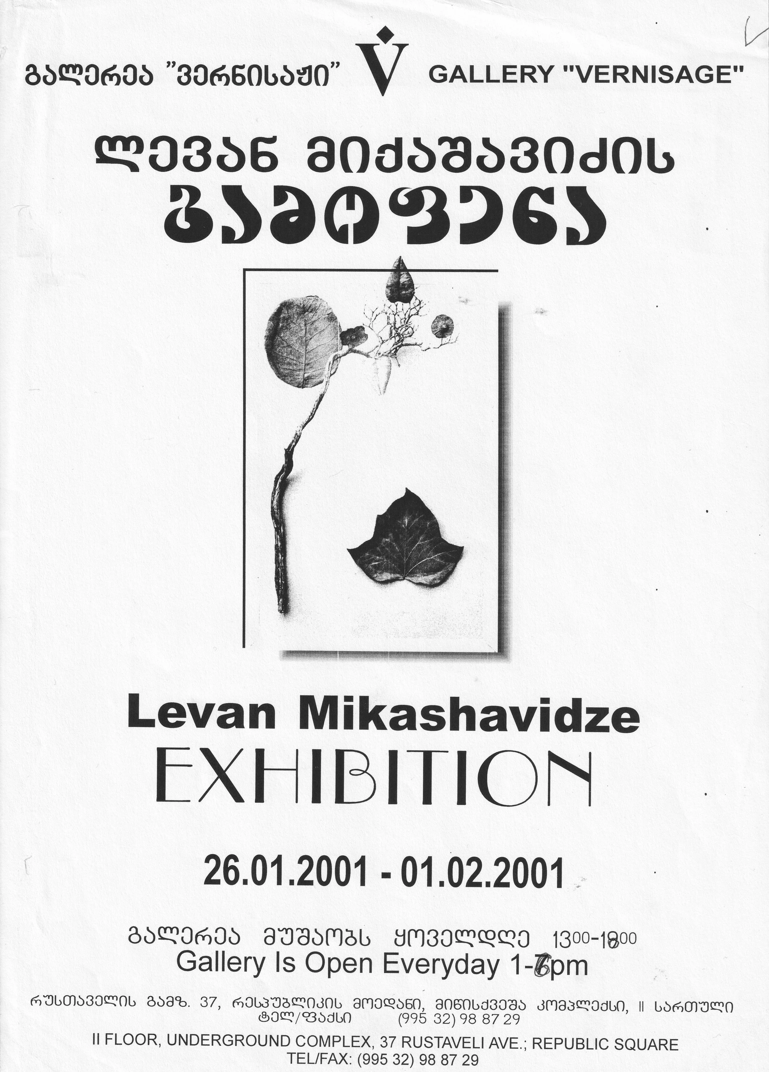 Levan Mikashavidze: Solo Exhibition  26.01-01.02.2001