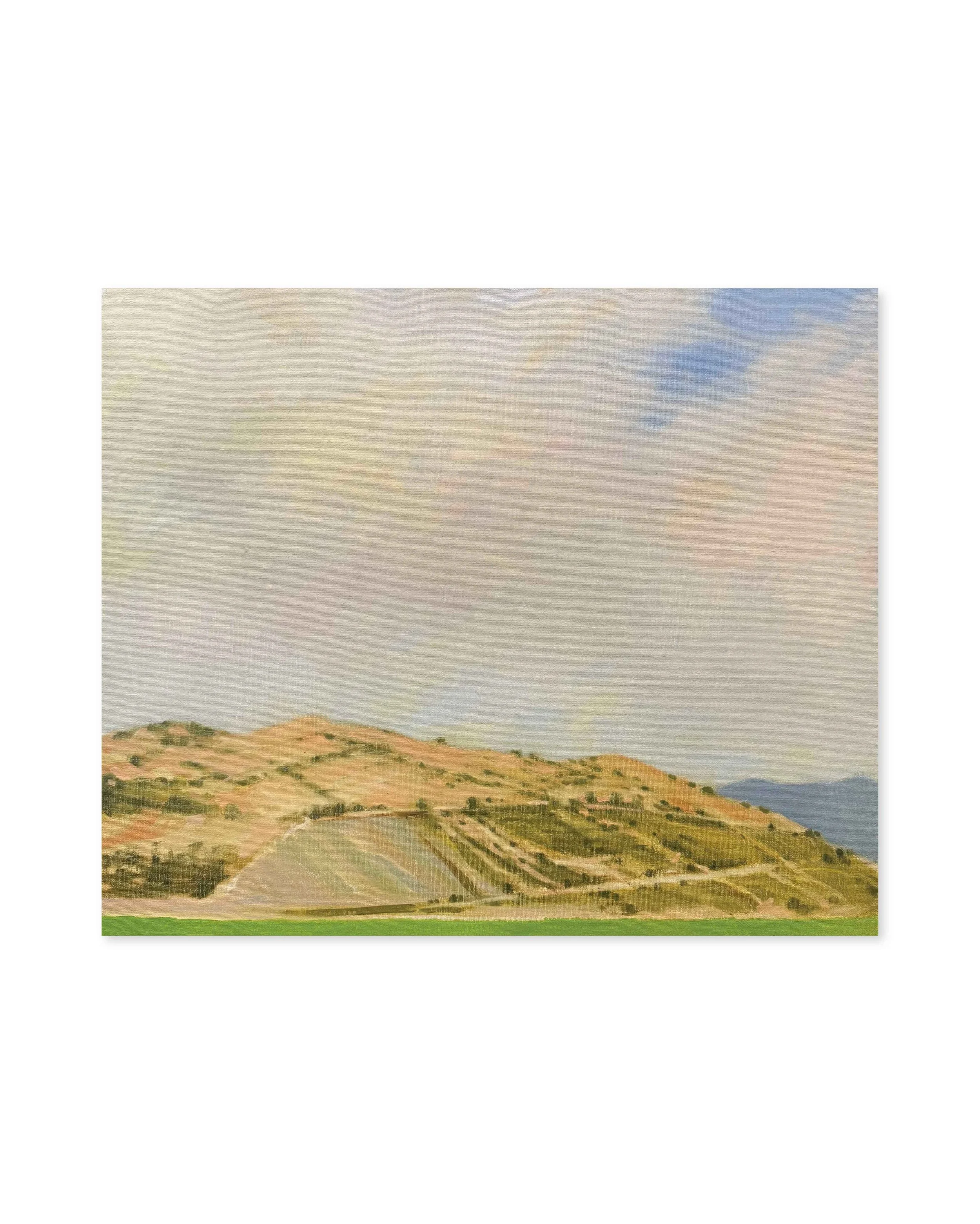 Kote Sulaberidze ‘Green meadow’, oil on canvas, 50 x 60 cm. 2018