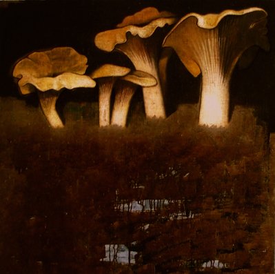KAKHABER TATISHVILI: MUSHROOMS 19.09-27.09.2014