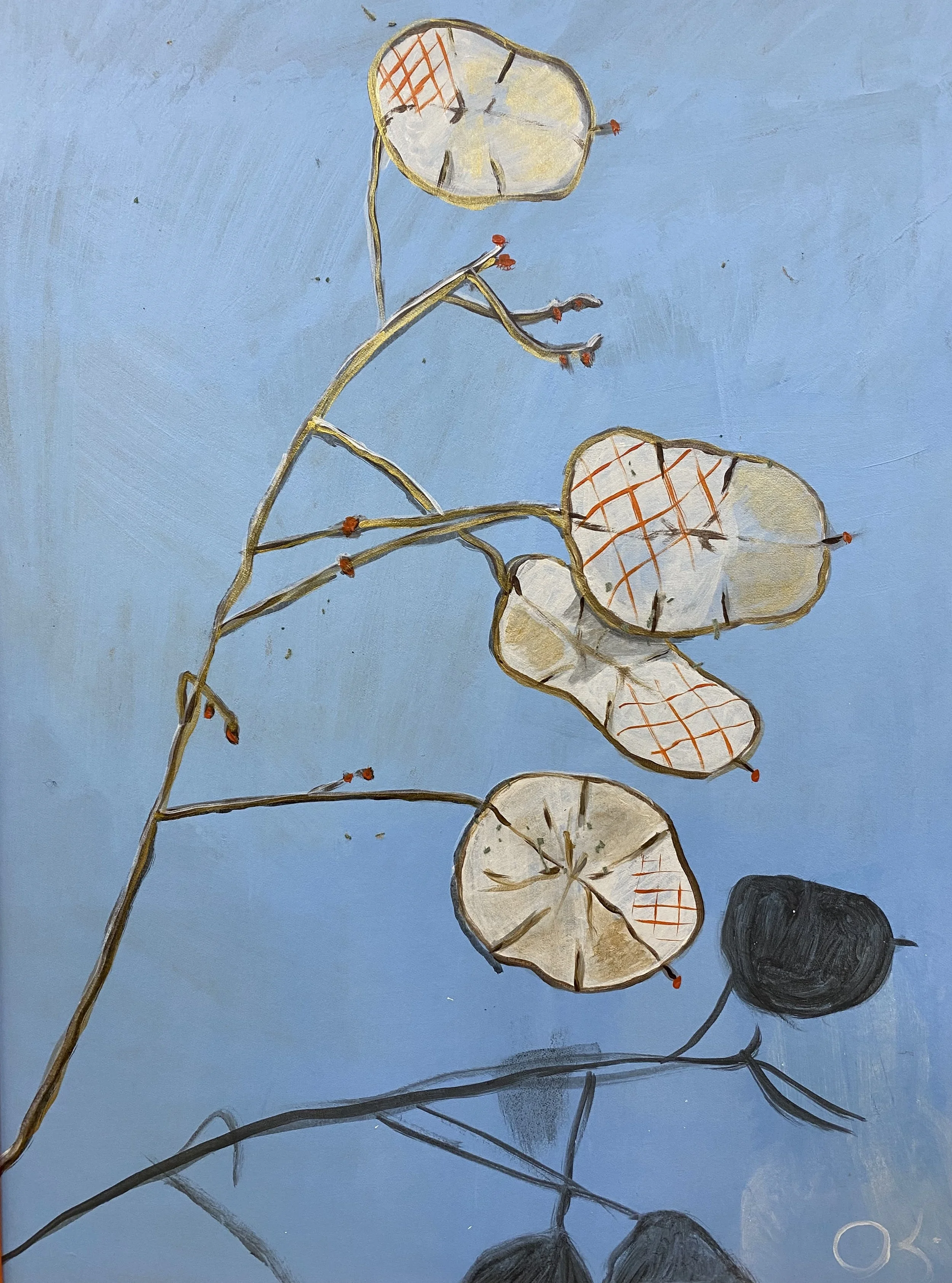 'ლუნარია',მუყაო, აკრილი, 50X35.jpg