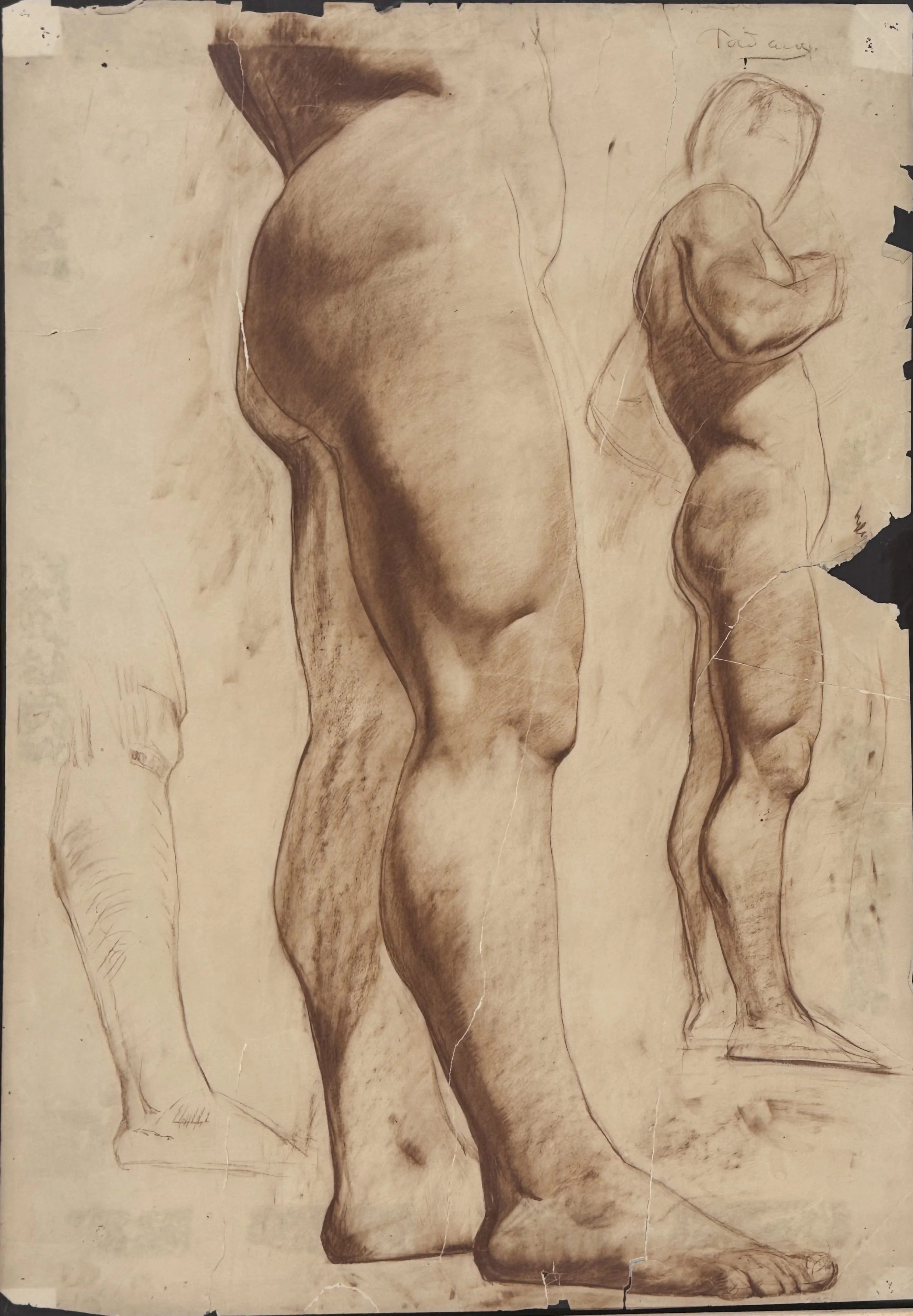 STUDY FOR A MALE NUDE