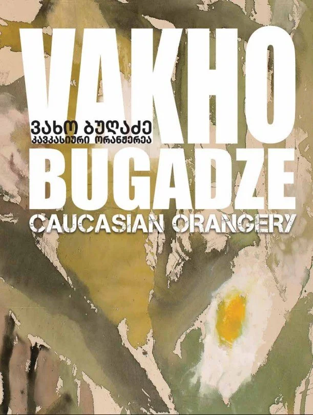 Screenshot 2026-02-21 162329.jpg