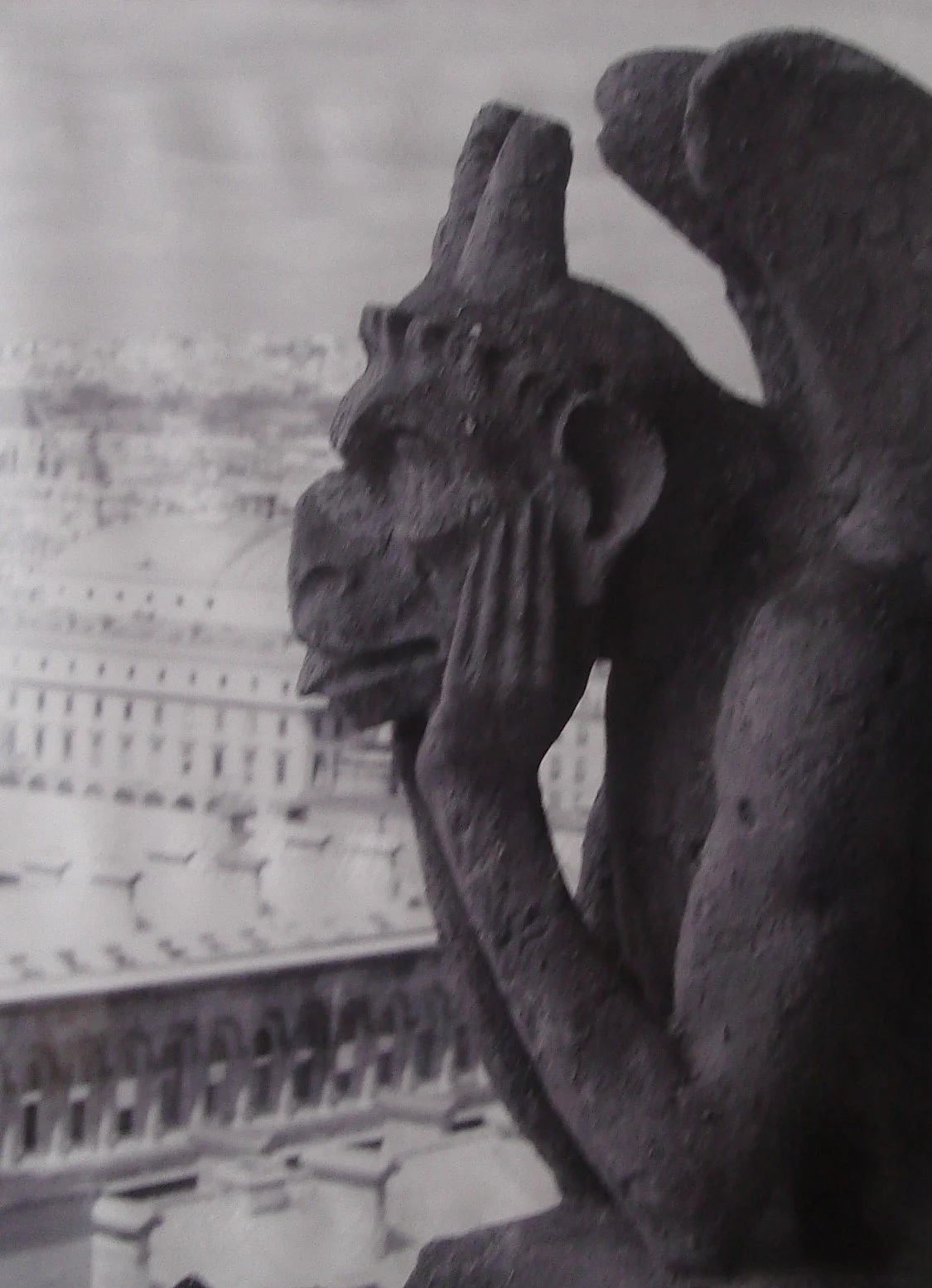 ANNA REVIAKINA: PHOTOGRAPHY 01.06.2009