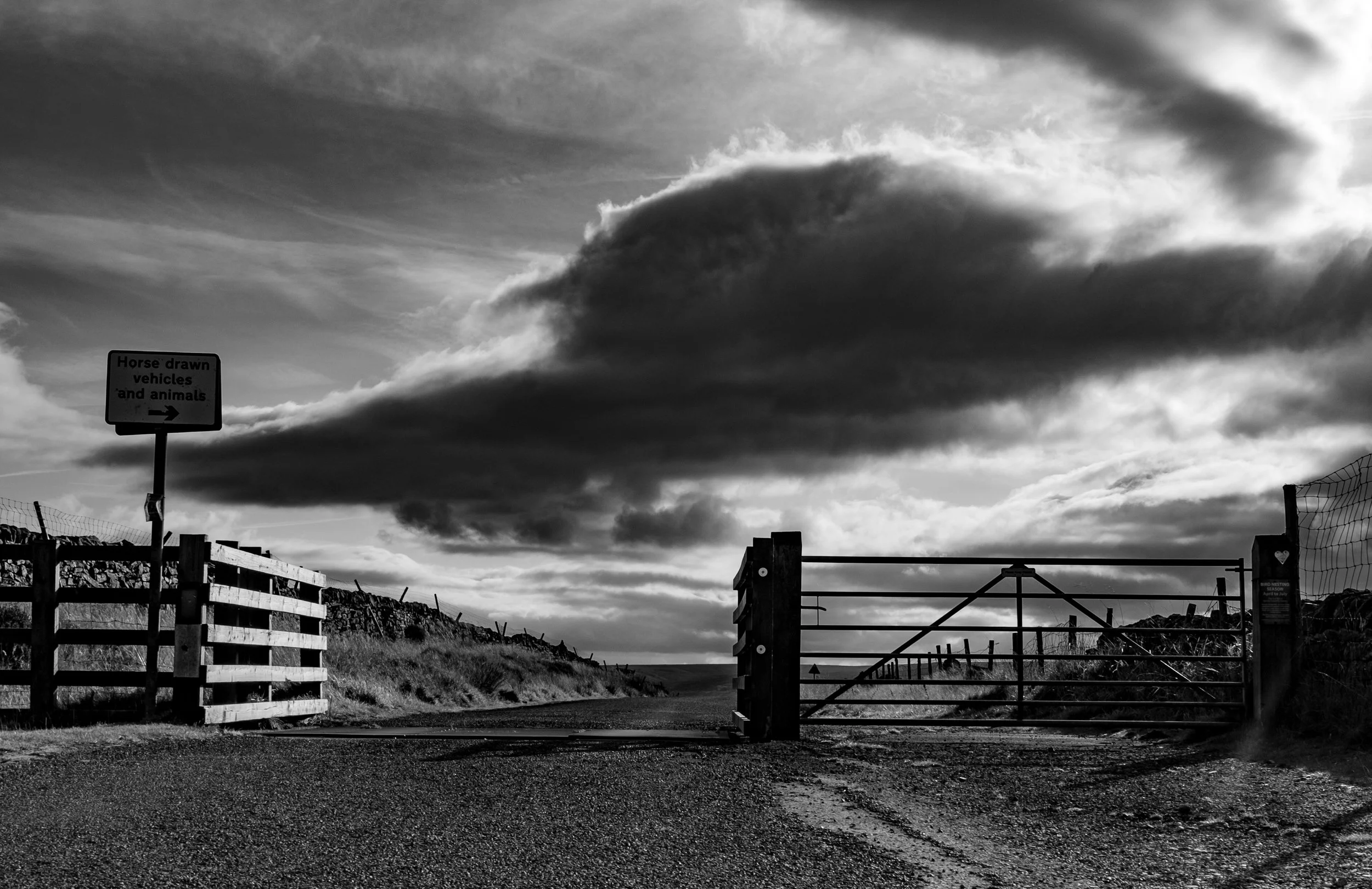 DSCF1463to print france-4.jpg