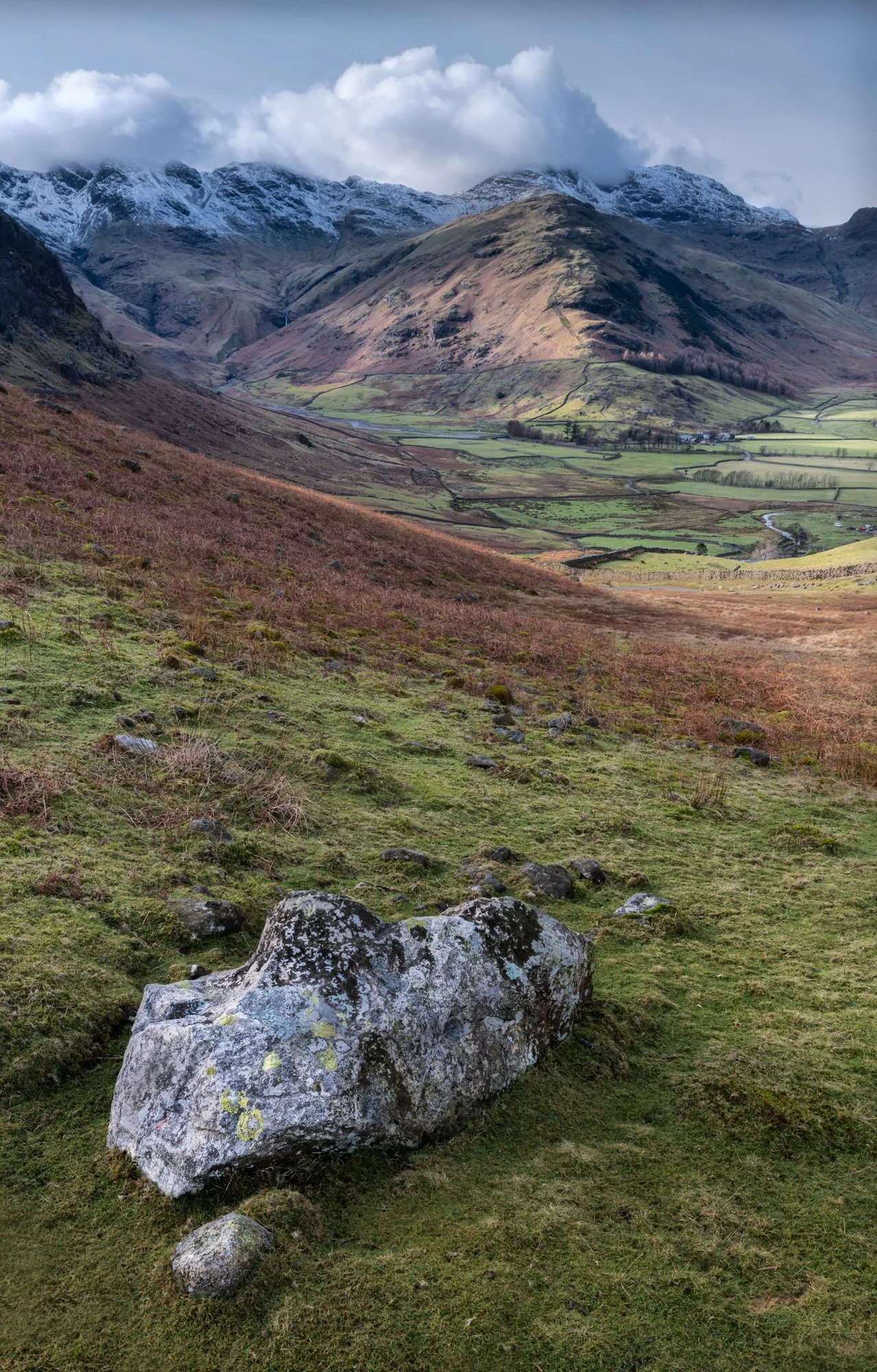 _DSC1853Yeadon Tarnto print france.jpg