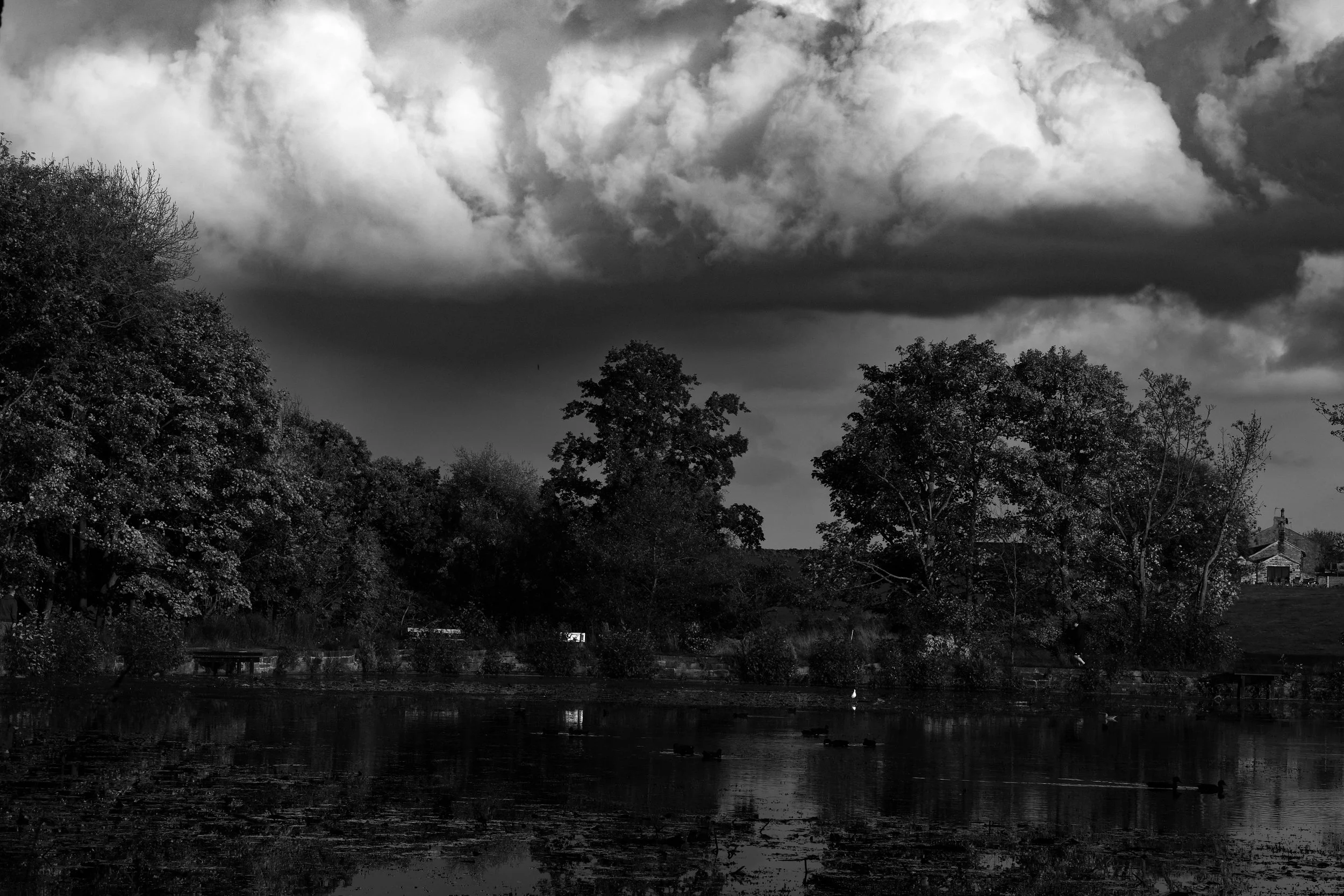 DSCF1754to print france.jpg