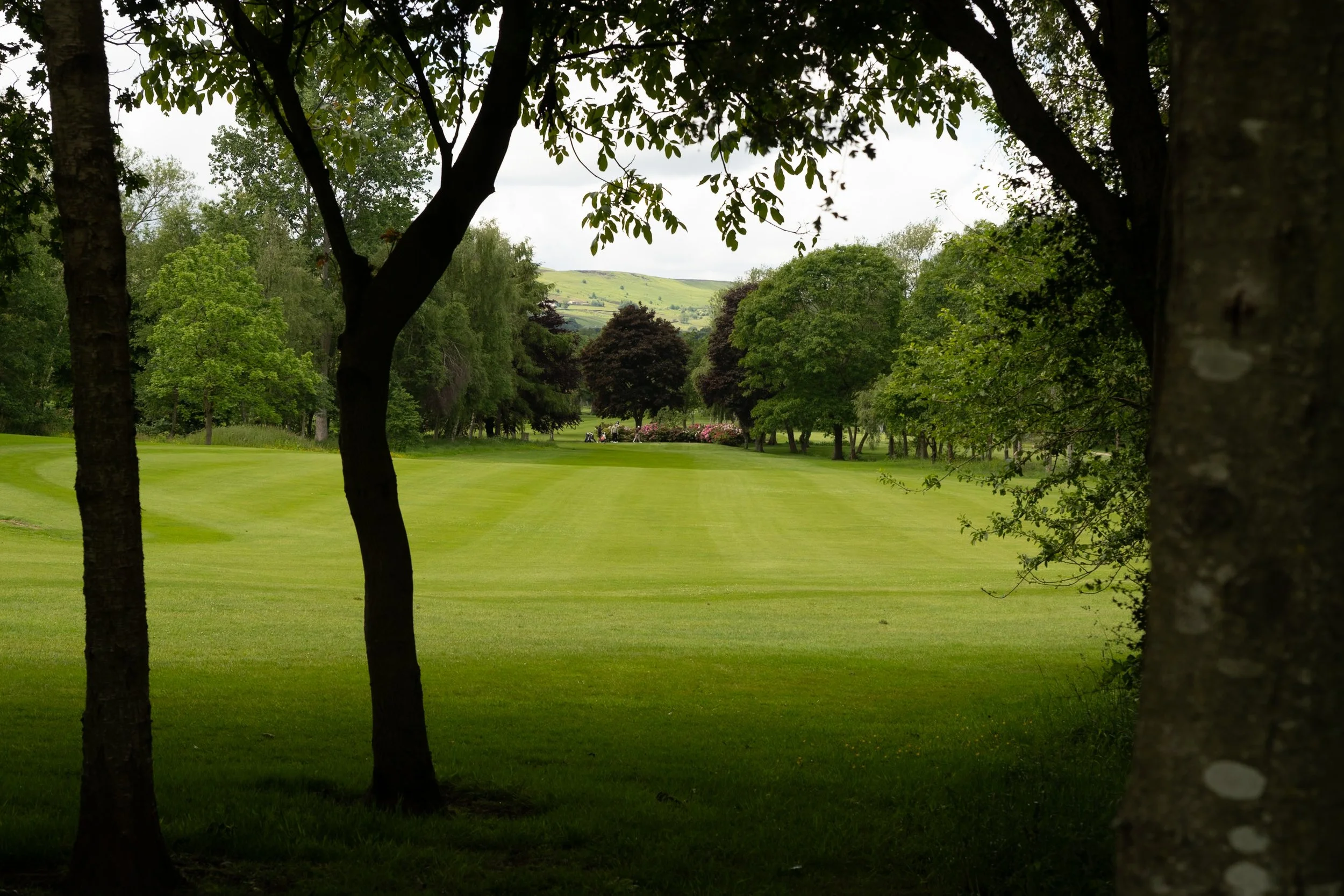 DSC00815to print france.jpg