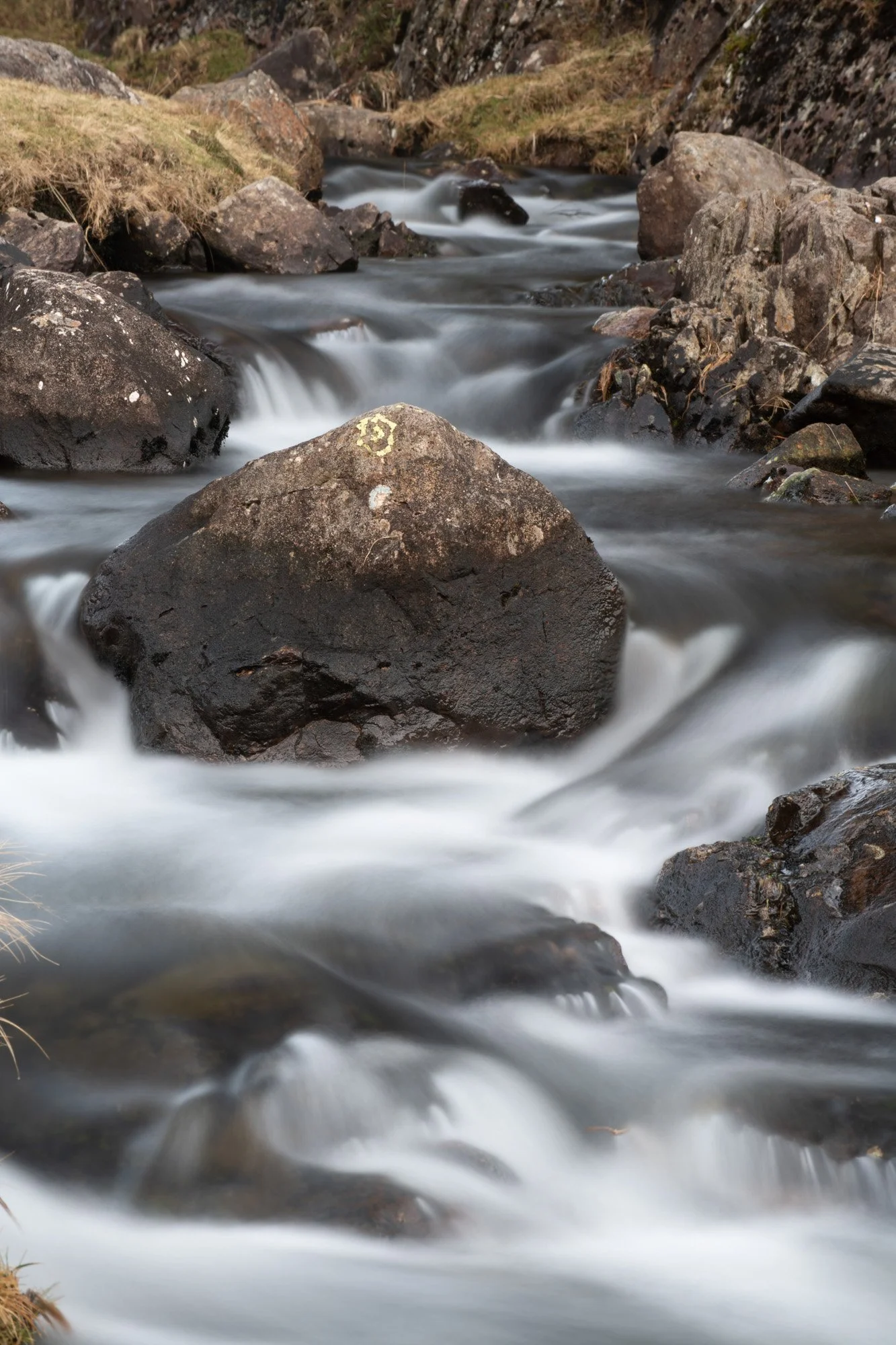 _DSC1879Yeadon Tarnto print france.jpg