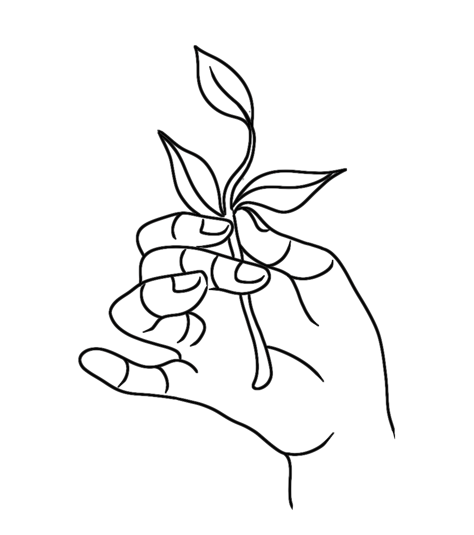 Outline drawing of a plant in a pot with three visible leaves.