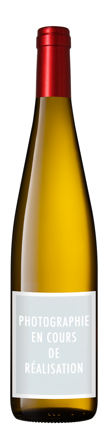 Bouteille de vin jaune avec un étiquette indiquant 'Photographie en cours de réalisation'.