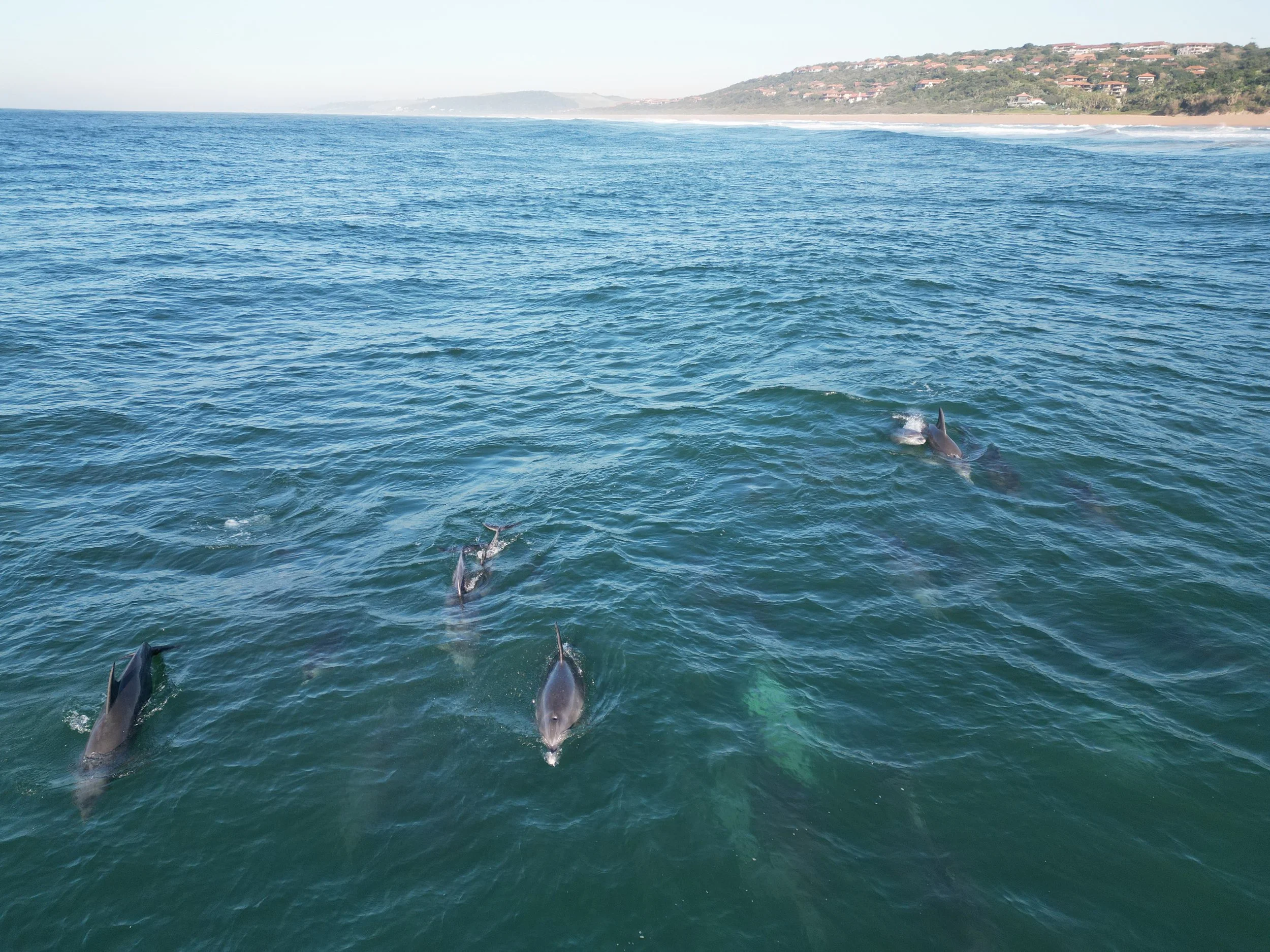 Ballito is located on the Dolphin Coast