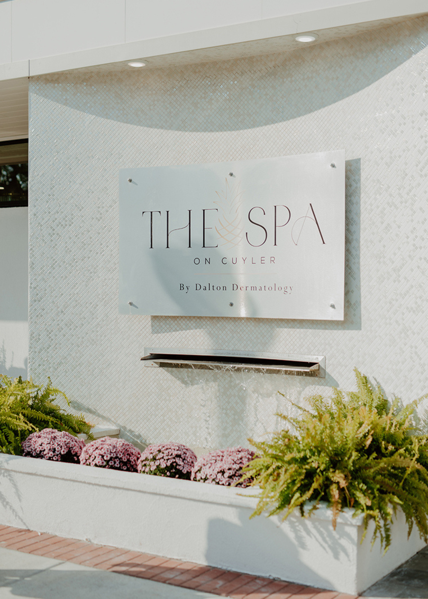 Sign for The Spa on Cuyler by Dalton Dermatology outside a white building, with flower bed containing pink and white chrysanthemums and greenery in the foreground.