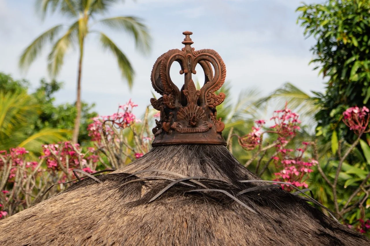 Bar Roof Top Large.jpeg