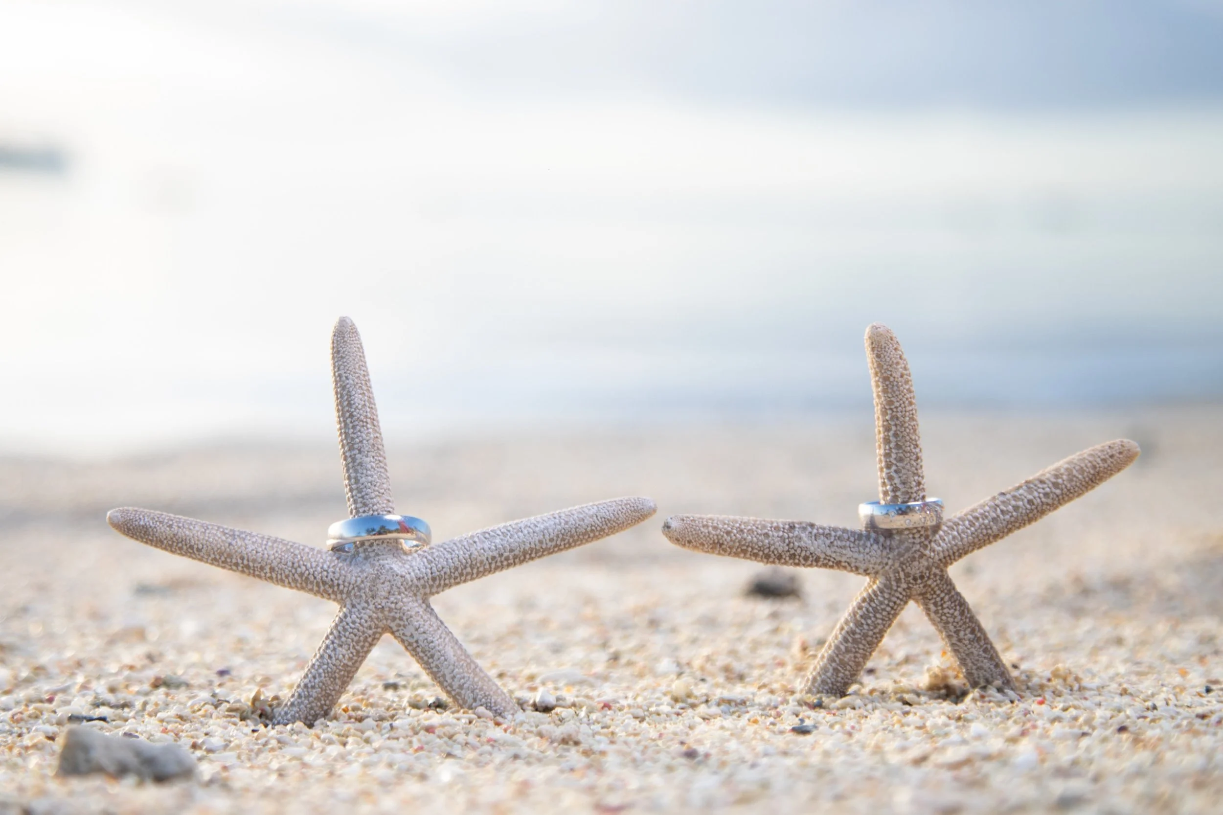 WhatsApp Image 2026-02-06 at 17.58.16.jpeg