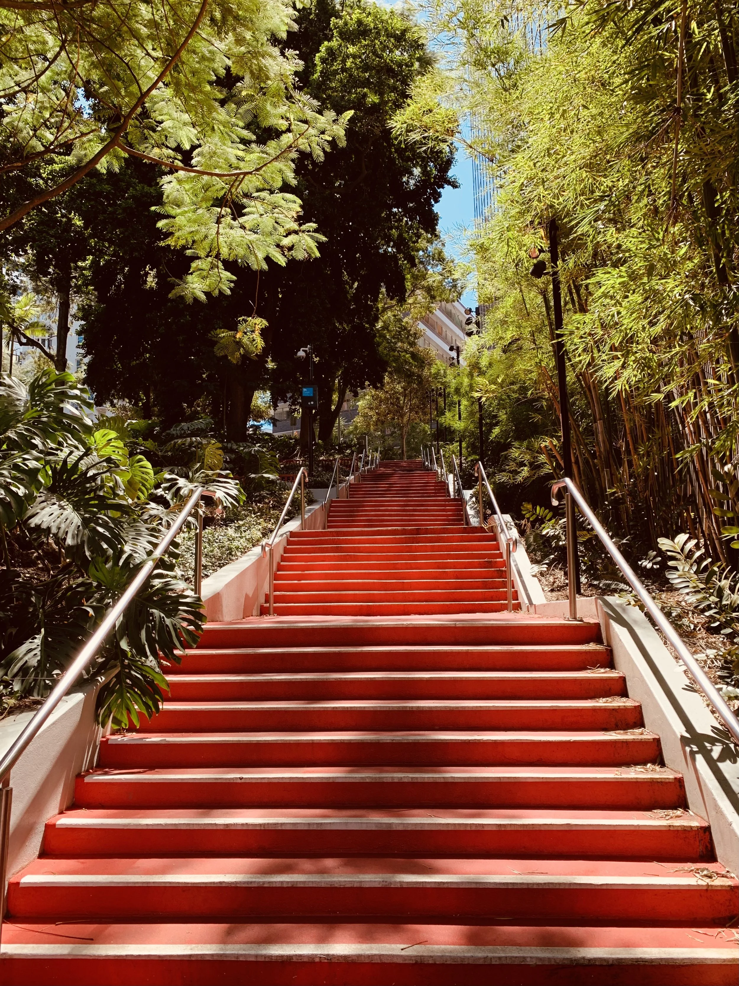 Red outdoor steps surrounded by trees in an urban setting