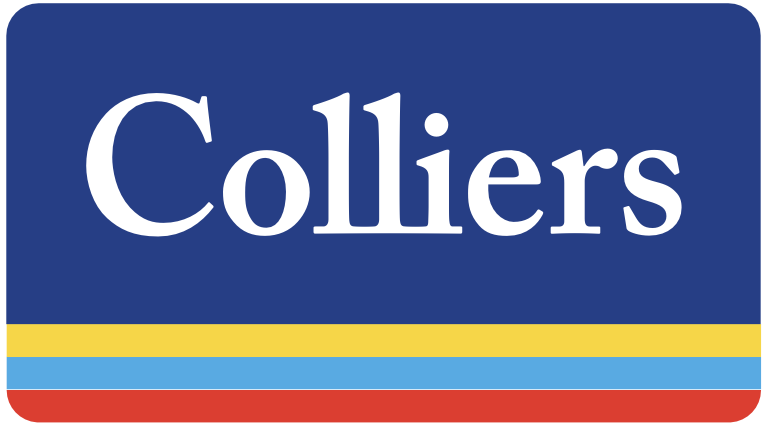 Wild daisies with white petals and yellow centers in a field, with a warm sunlight glow.