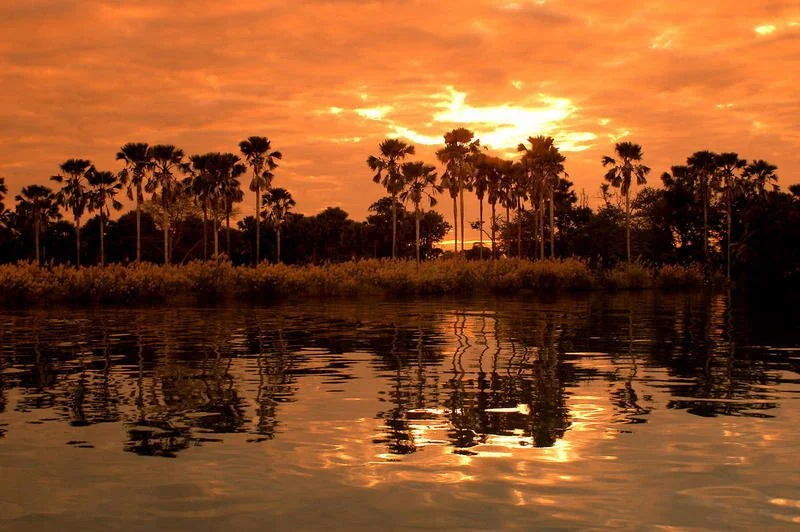 A red sunset over the Shire River in Liwonde National Park, with palm trees silhouetted in the distance.