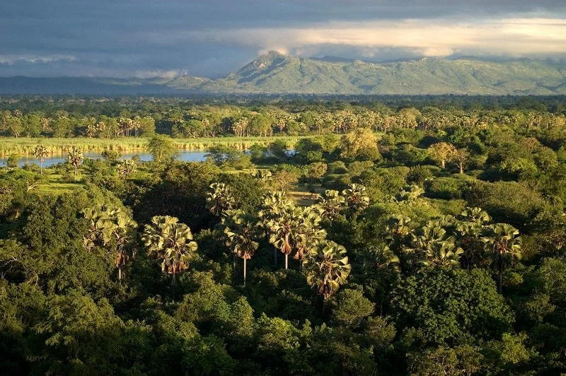 Liwonde Wilderness with the Zomba Mountains Beyond
