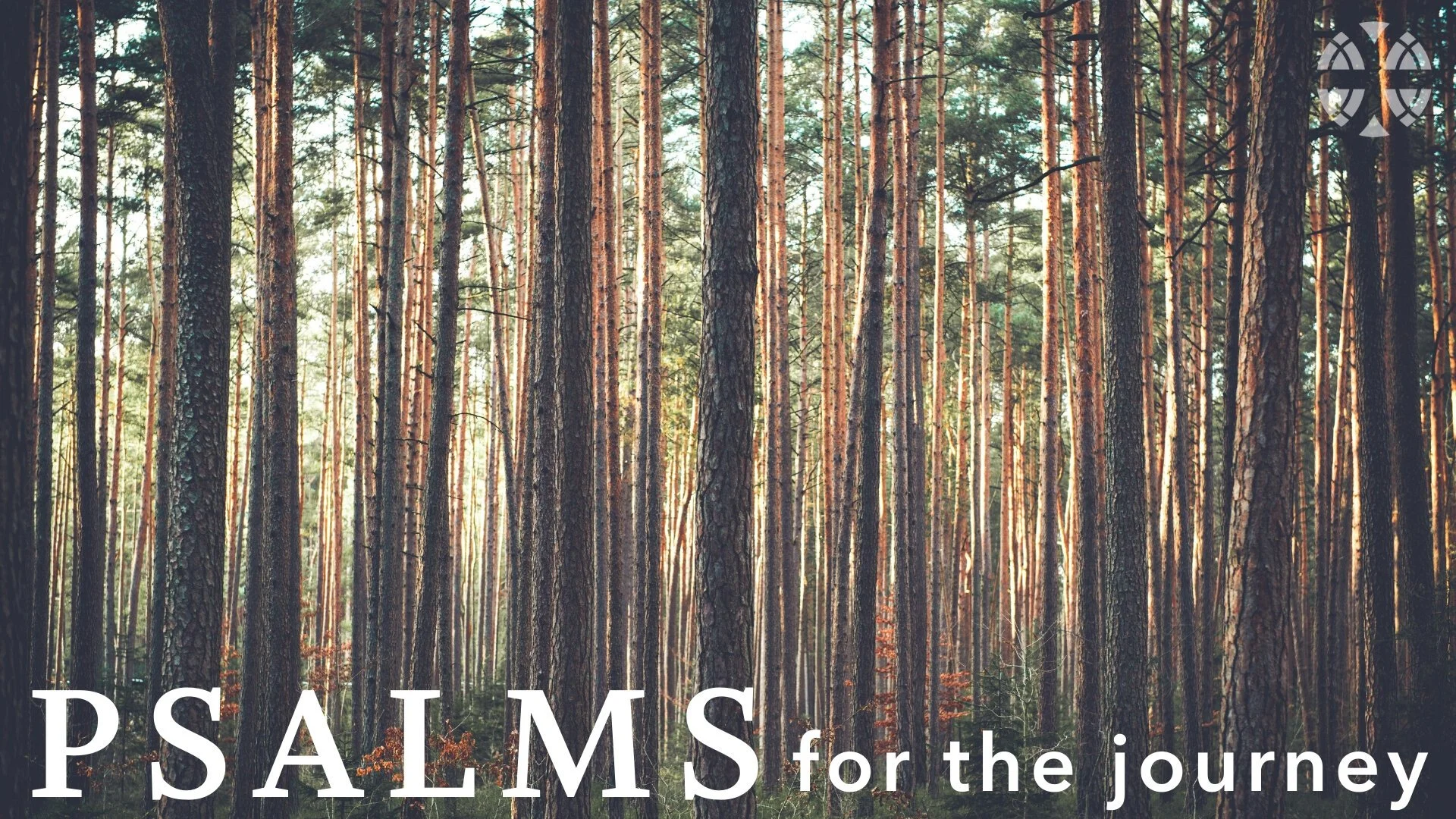 Psalms for the Journey - Psalm 16