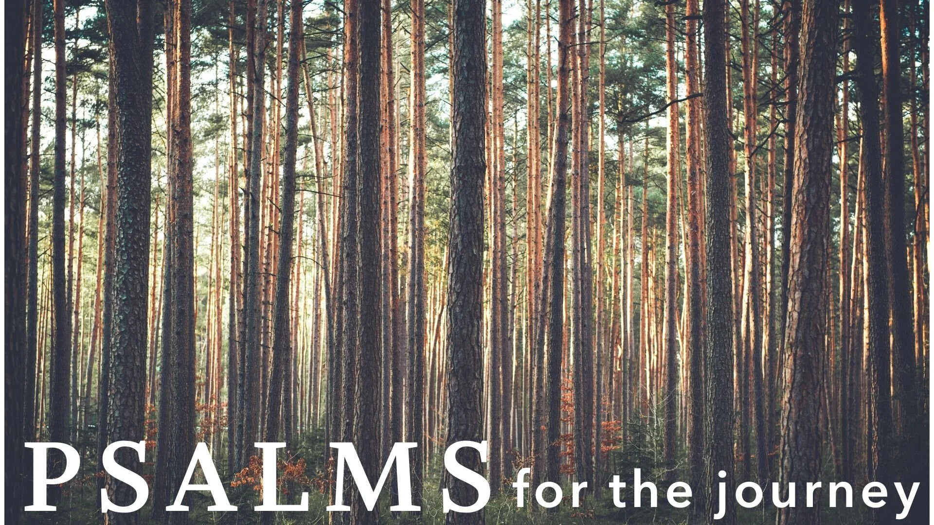 Psalms for the Journey - Psalm 126