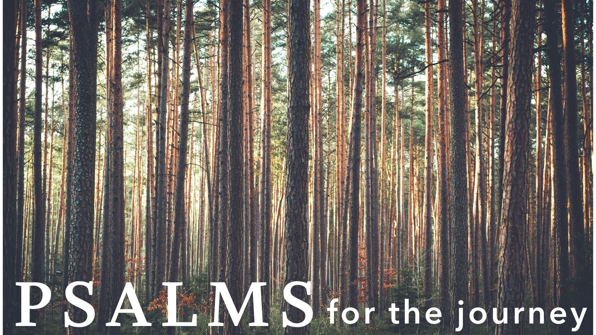 Psalms for the Journey - Psalm 116