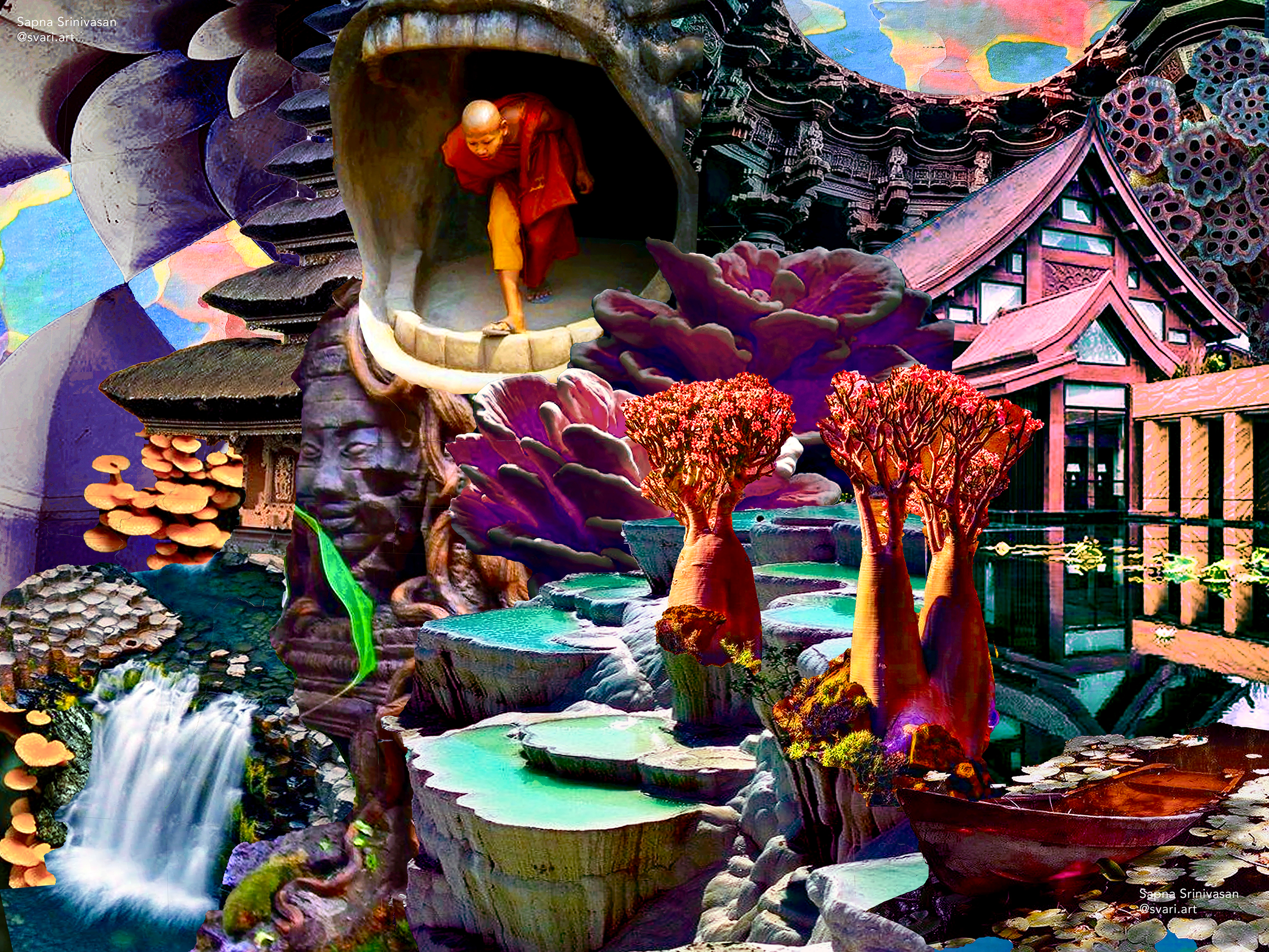 C1_WM_Sacred Cove.png