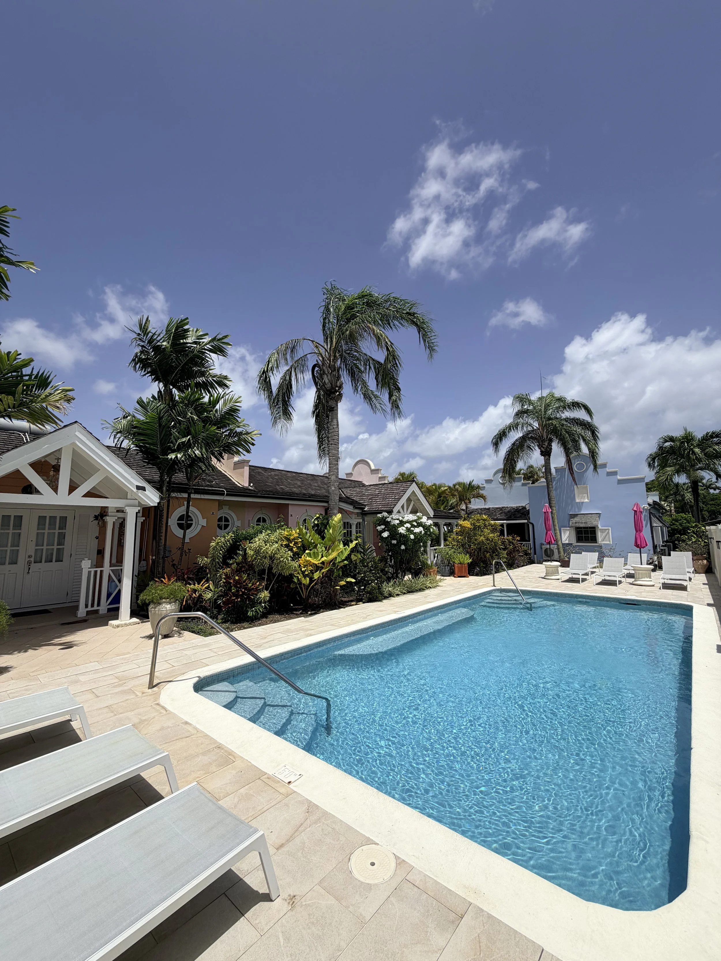 A backyard swimming pool with a tiled deck, surrounded by white lounge chairs, pink umbrellas, and lush tropical plants including palm trees and bushes. In the background are colorful houses and a blue sky with clouds.