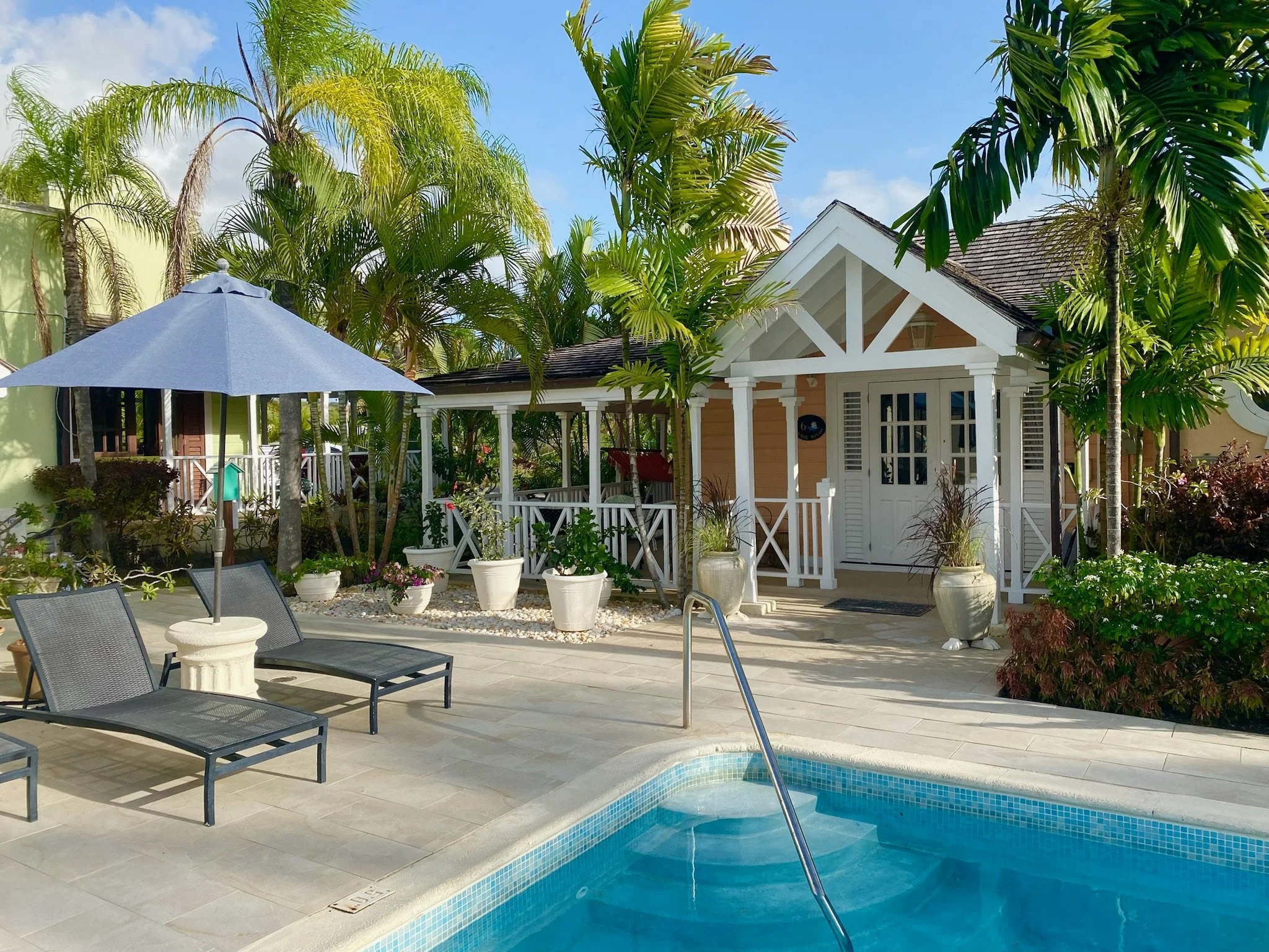 A backyard swimming pool area with lounge chairs, an umbrella, potted plants, and a small house surrounded by tall palm trees under a partly cloudy sky.