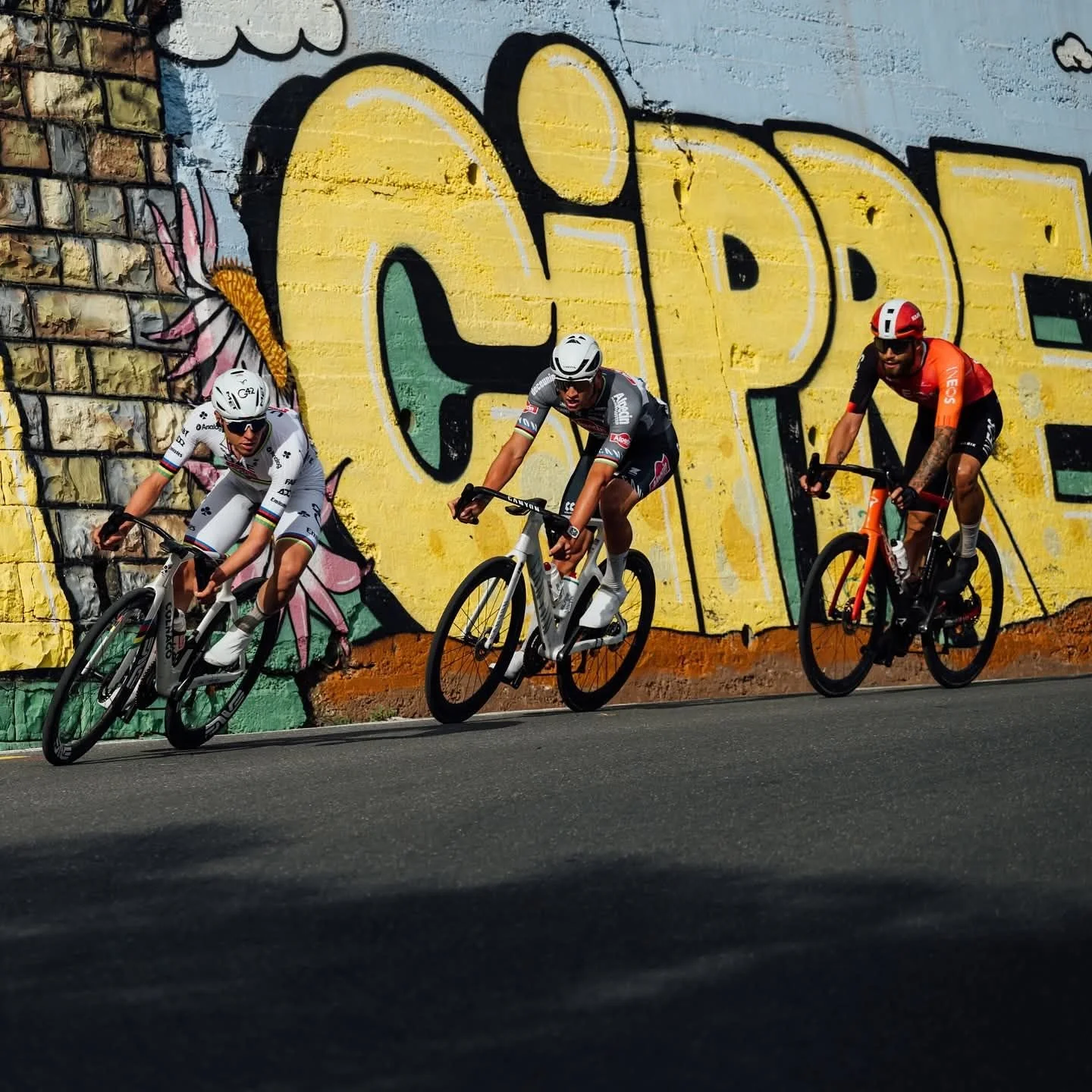 Road bike, mountain bike, gravel bike, kids bike