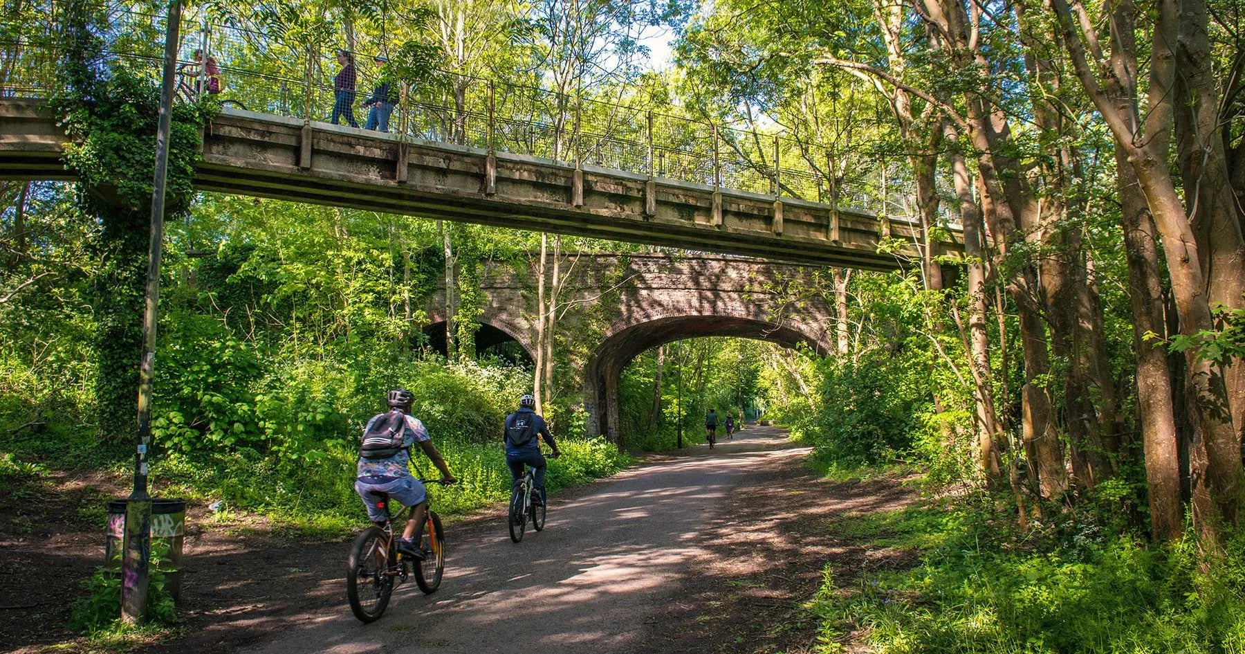 Experienced bike mechanic in Chippenham