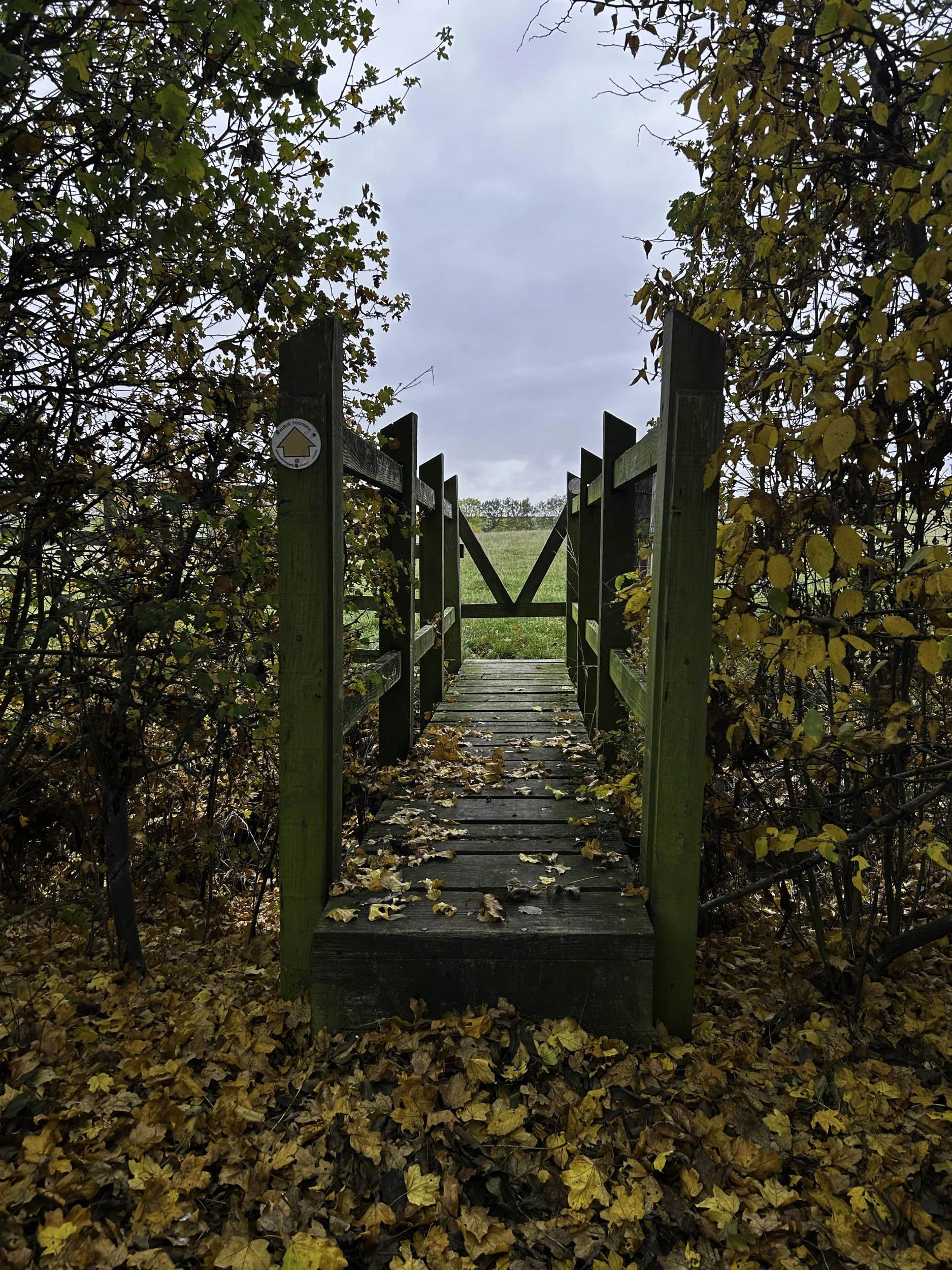 A small wooden bridge covered in fallen autumn leaves, surrounded by yellow and brown foliage, leading to a grassy area under a cloudy sky.