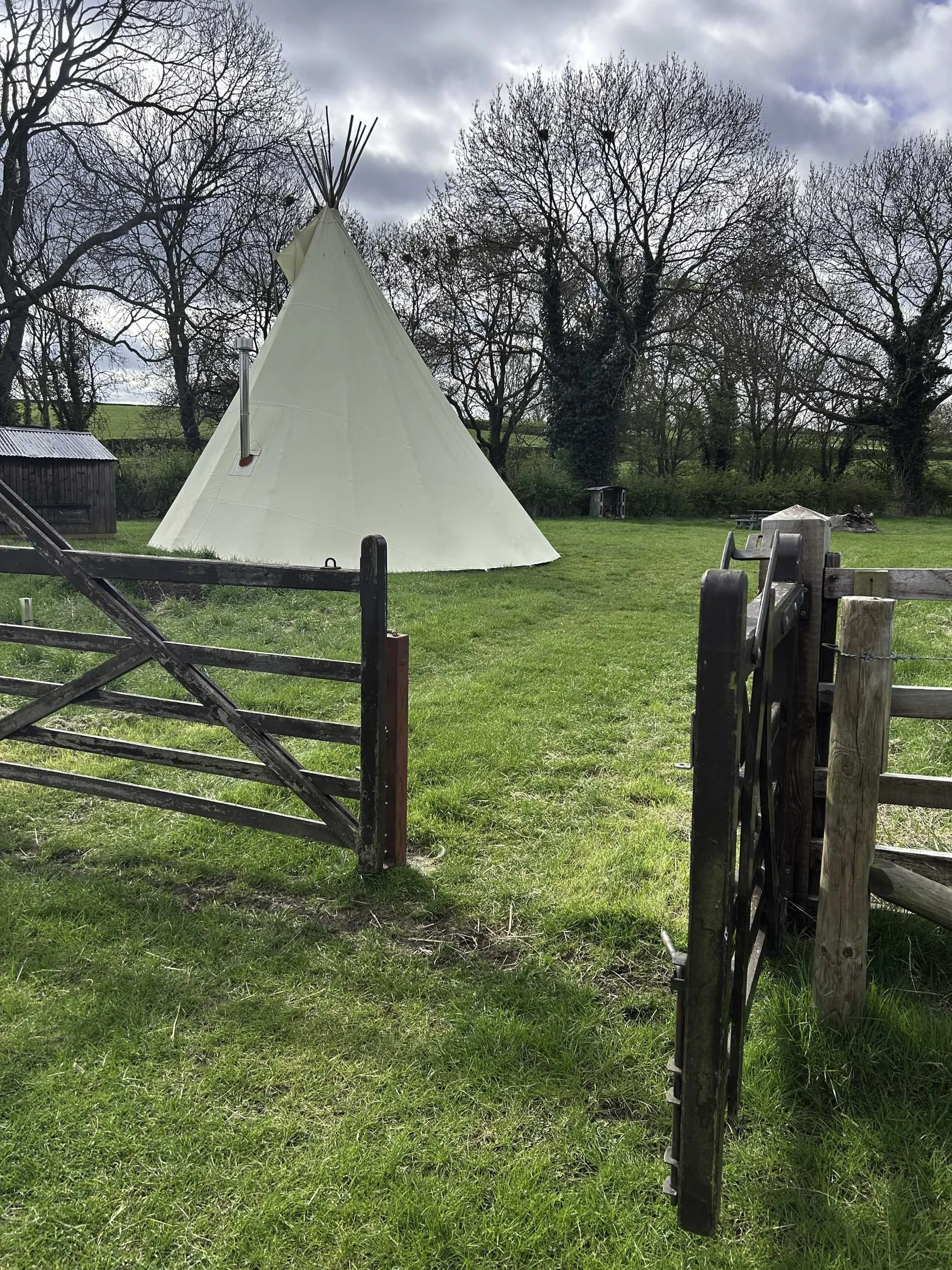 A grassy field with a wooden gate open to reveal a triangular white teepee, surrounded by leafless trees under a cloudy sky.