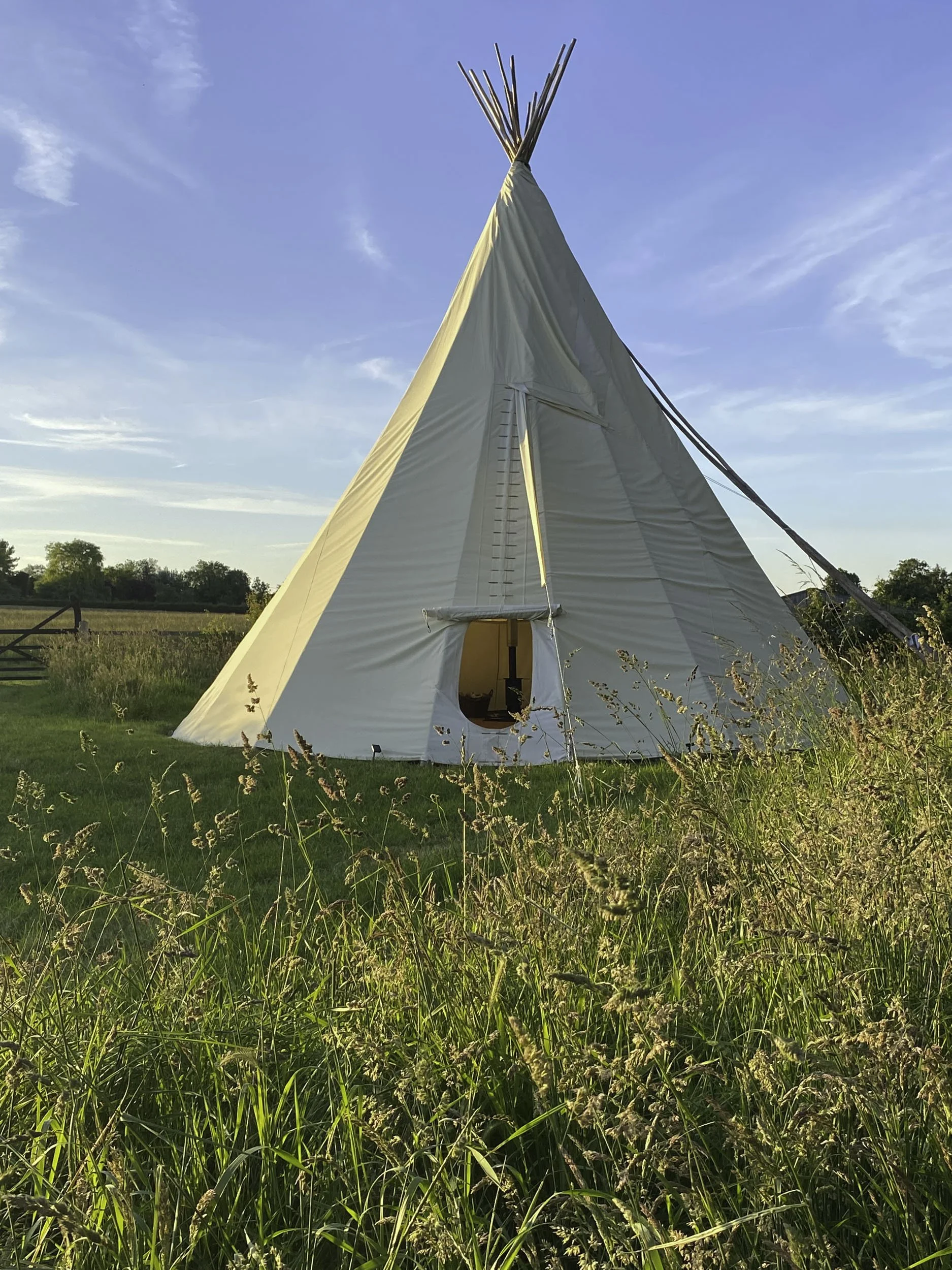 A white tipi tent set up in a grassy field under a blue sky with some wispy clouds.