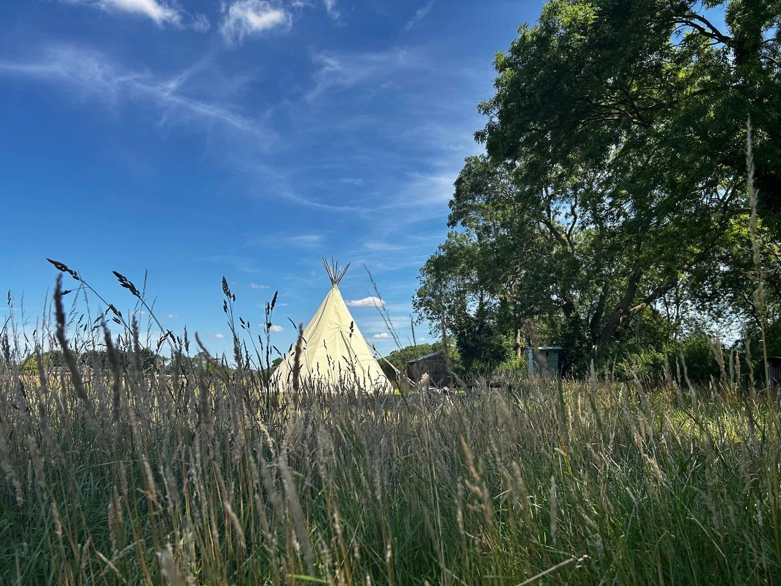 A teepee tent in a grassy field under a partly cloudy blue sky, with tall trees and small structures in the background.