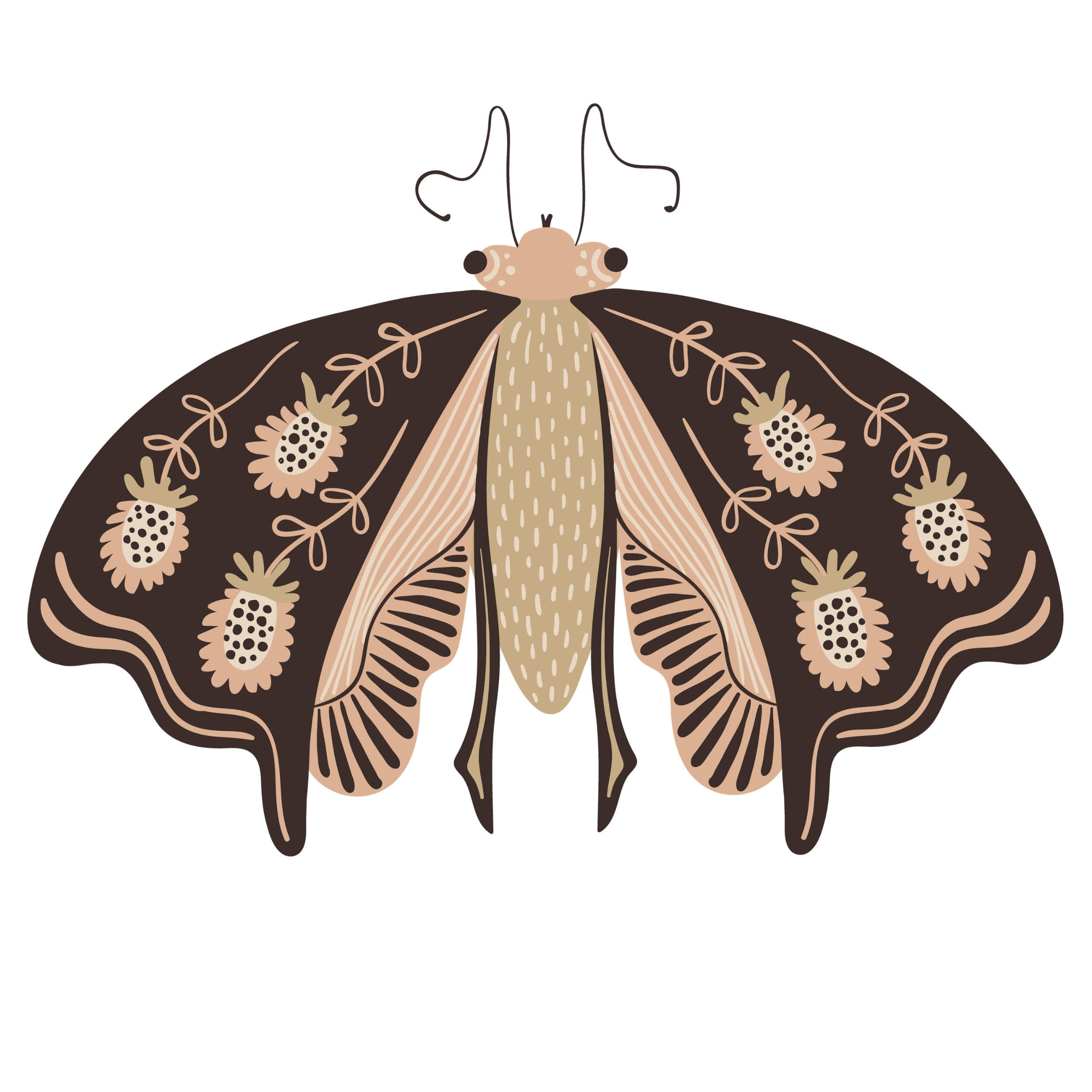Illustration of a moth with decorated wings and floral patterns.