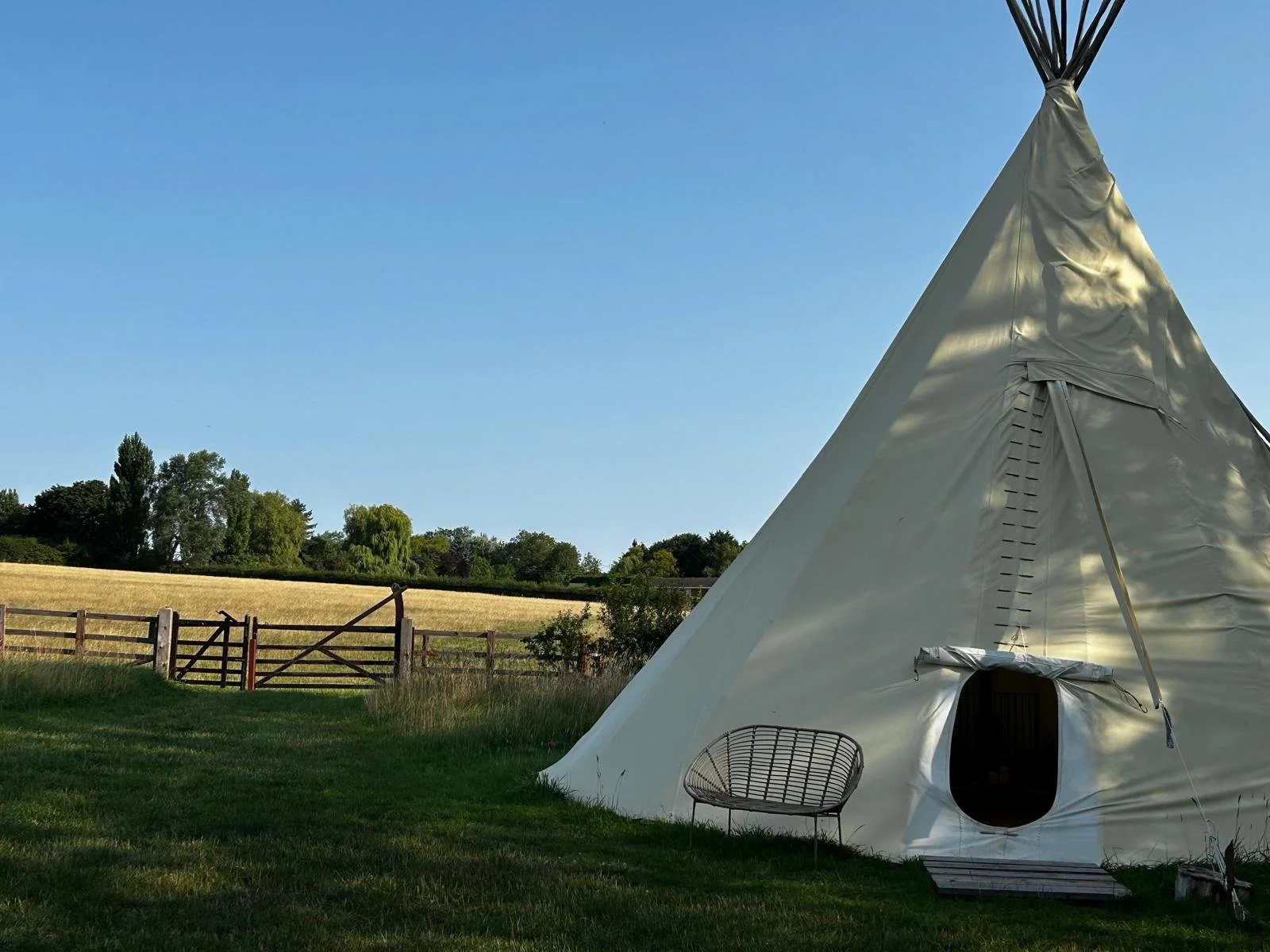 A white tipi tent set up on a grassy field with a black woven chair and a small wooden ramp in front of it, and a background of trees and a blue sky.