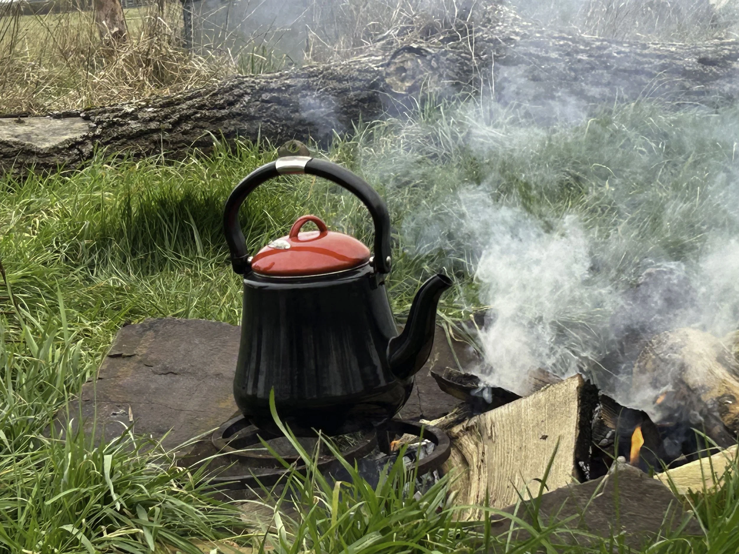 A black and red kettle on a camping stove placed on grass near a campfire, outdoors with logs and grass in the background.