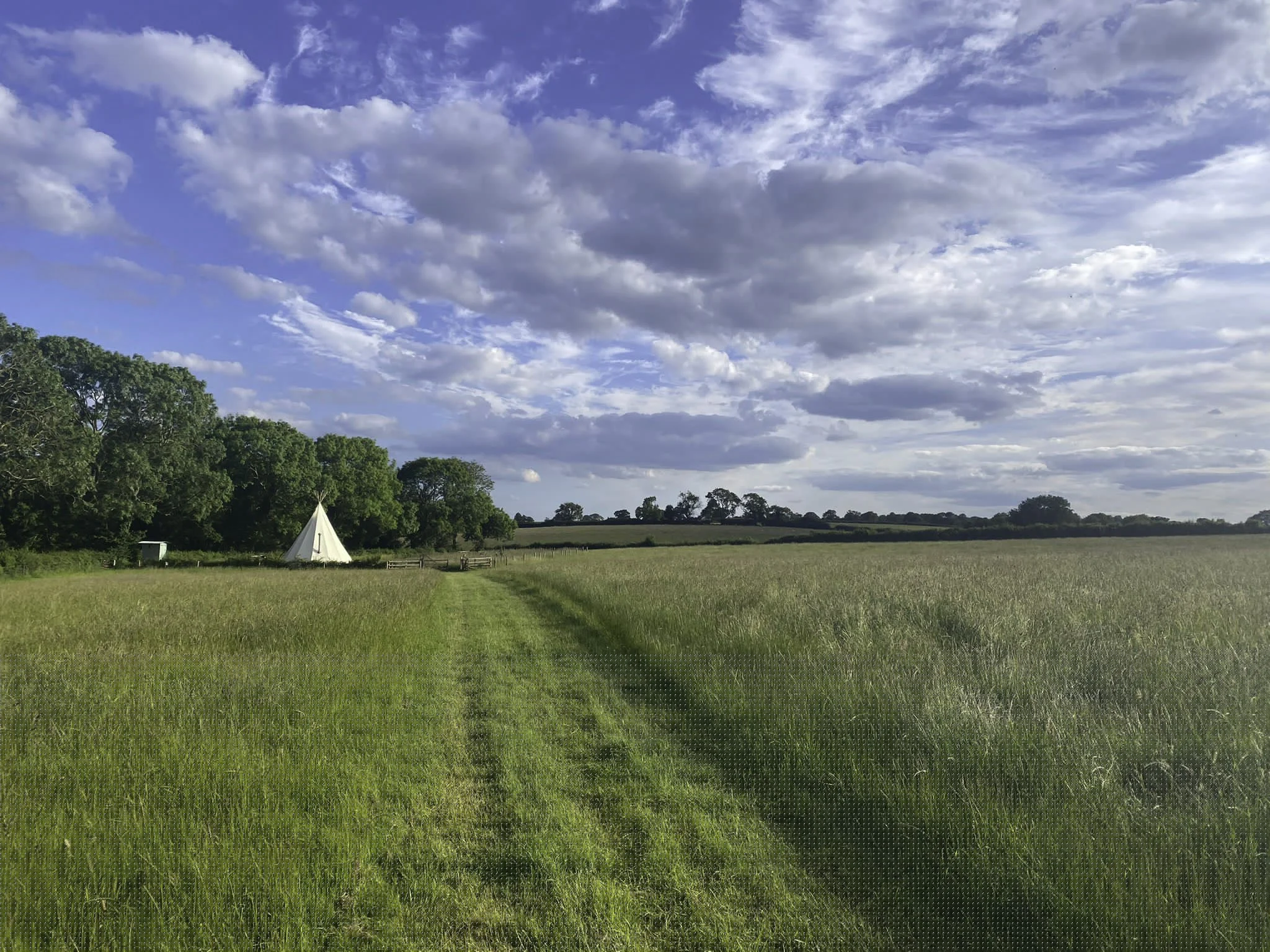 Open grassy field with a small white tent and a wooden fence near a row of trees, under a partly cloudy sky.